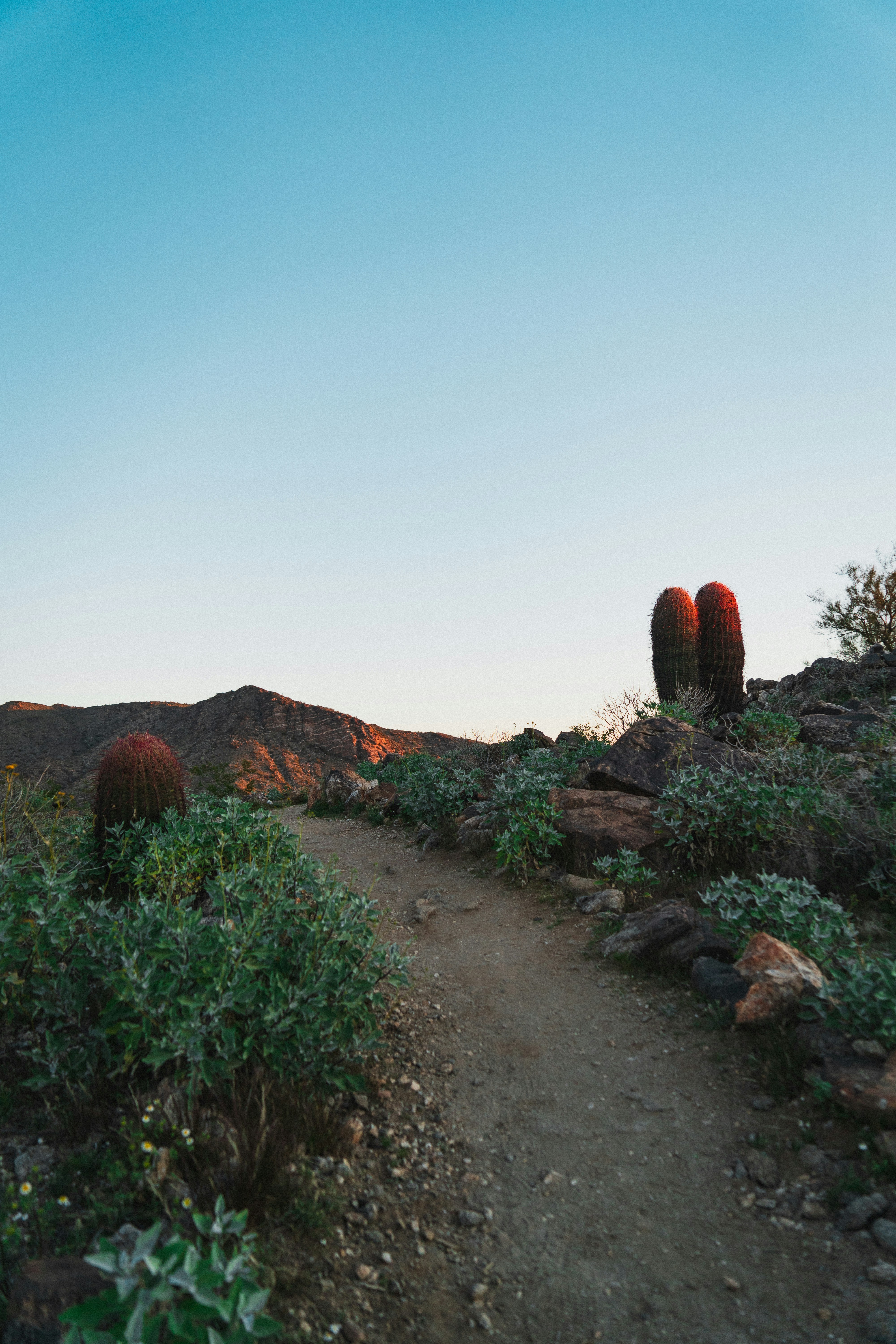 Desert Hiking Trail at Sunset