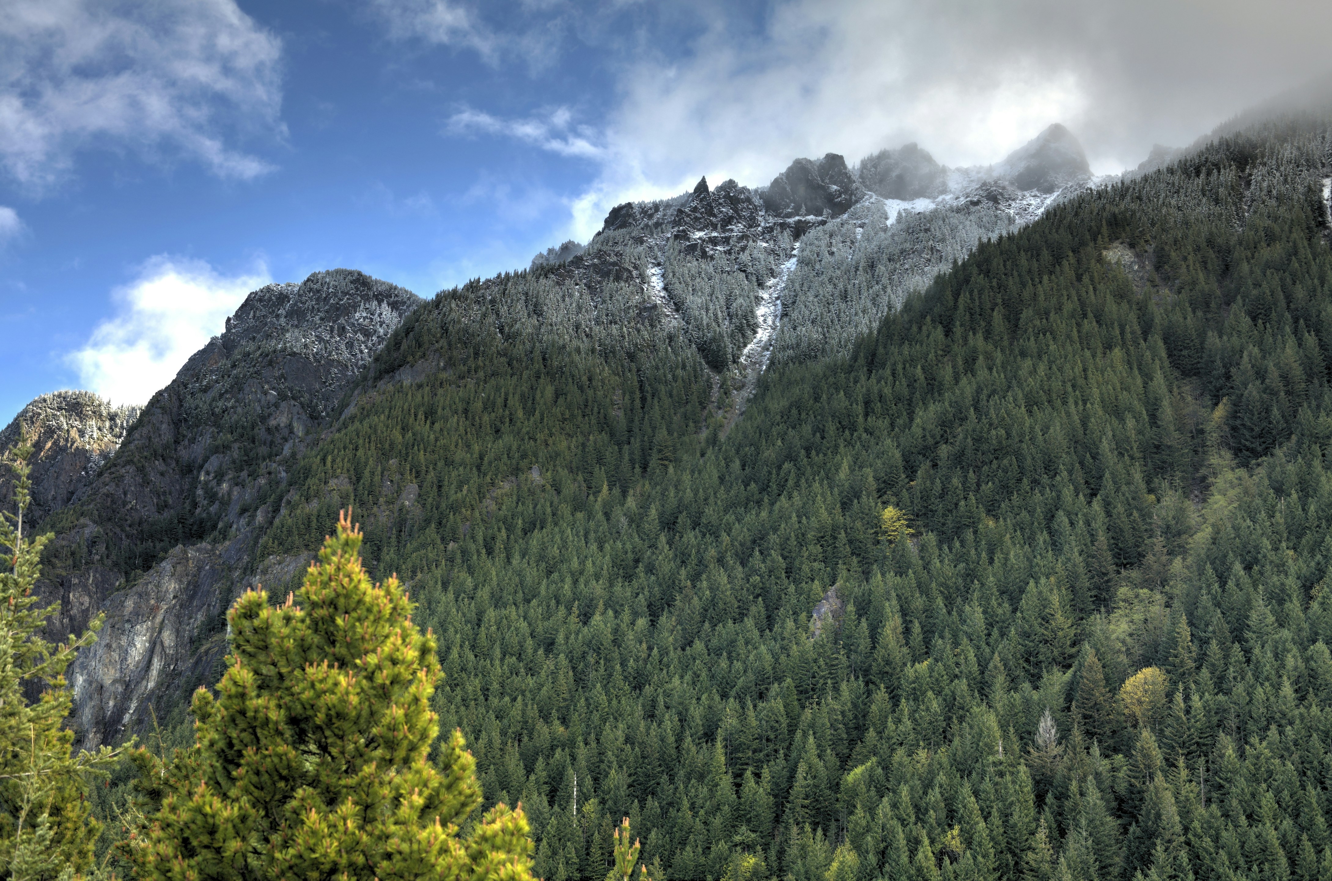 Snow-capped Forested Mountains