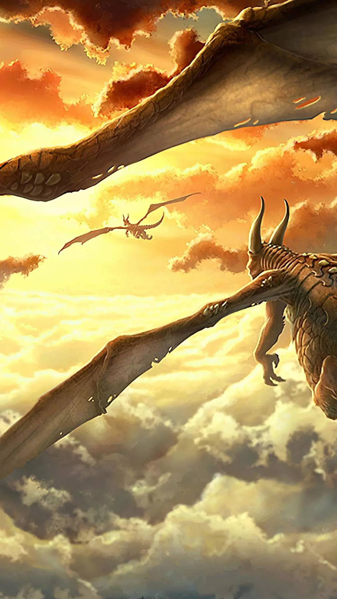Wallpapers