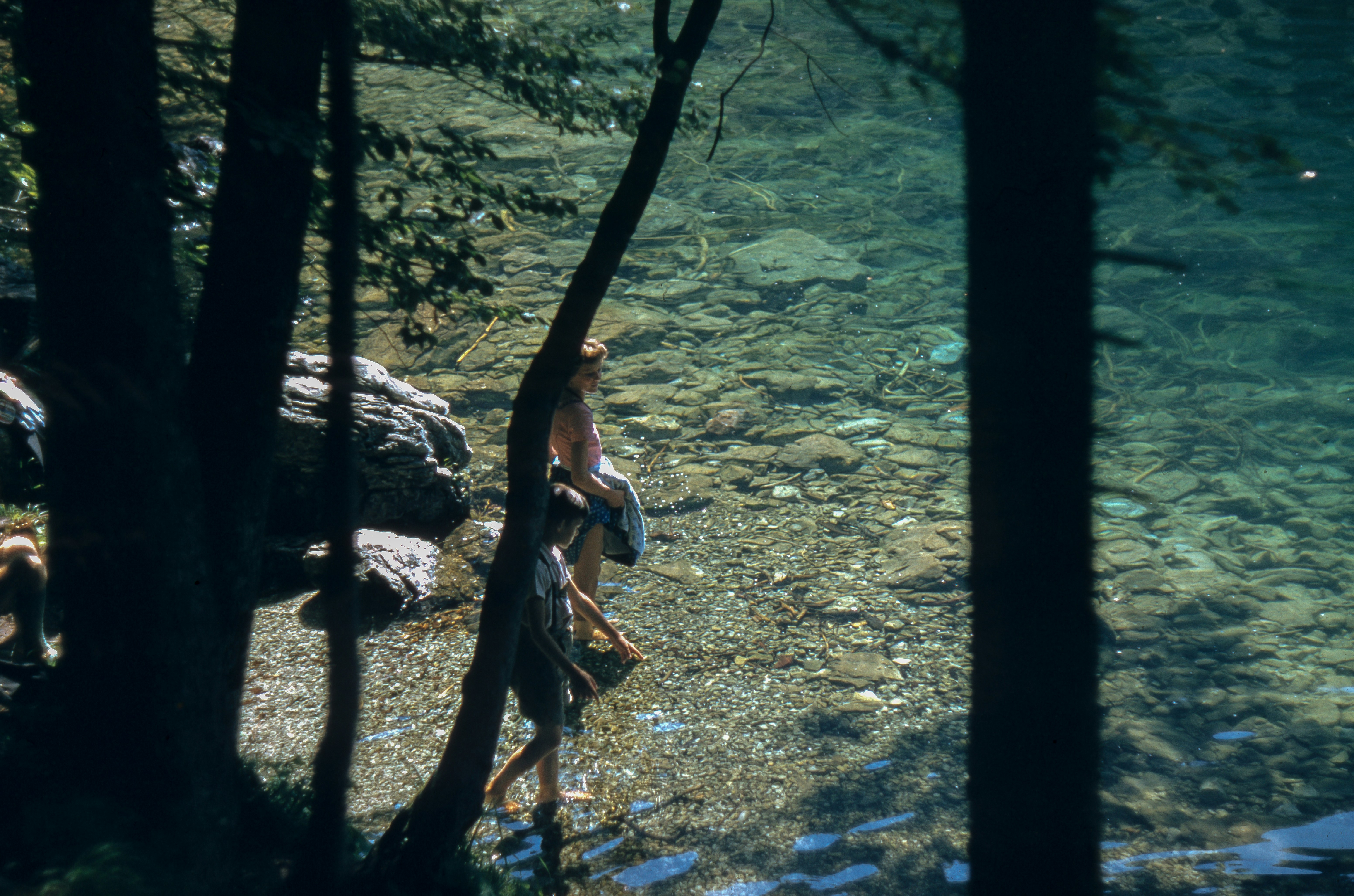 Two People Wading In Clear Forest Stream