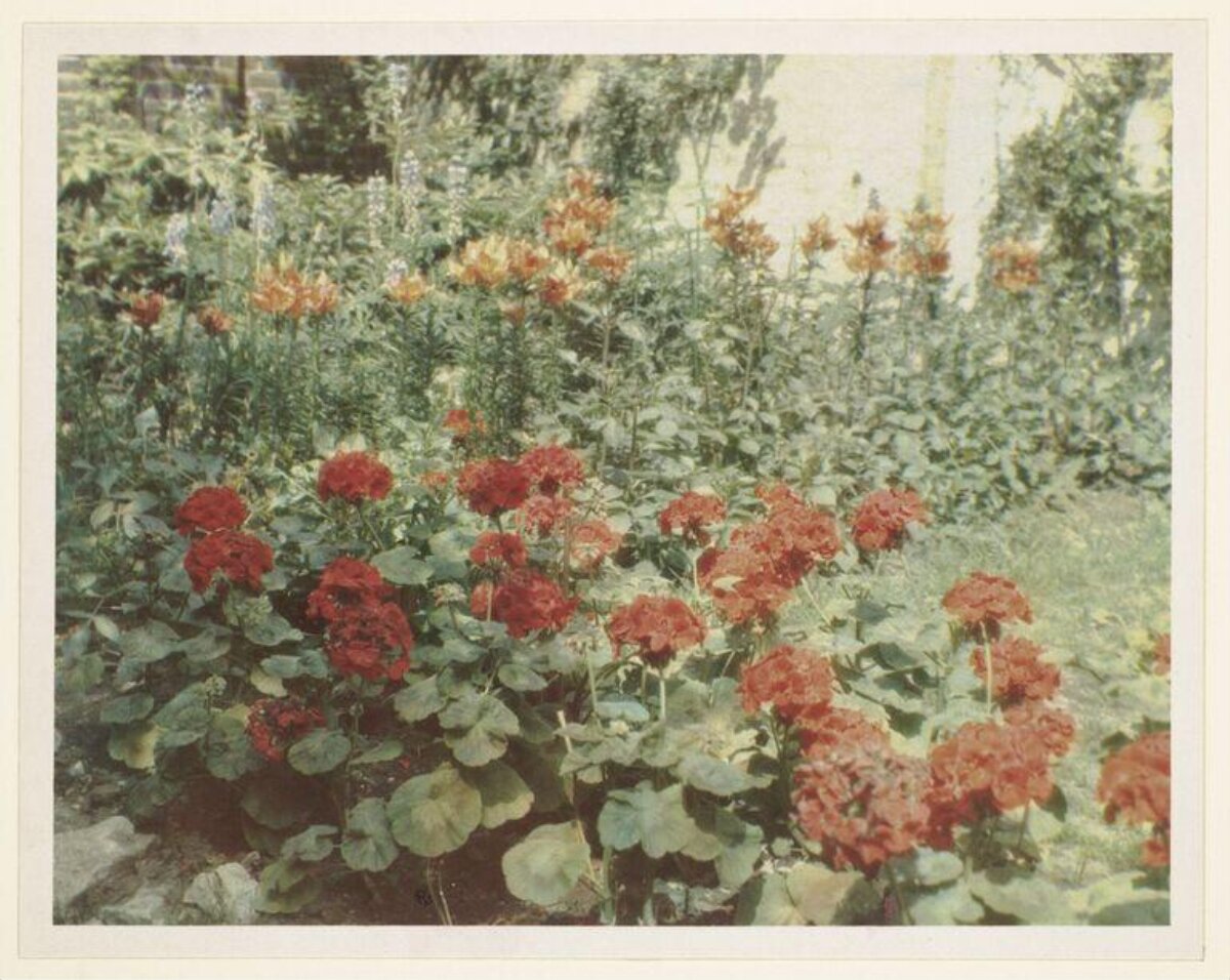 Vintage Garden Red Flower Bed