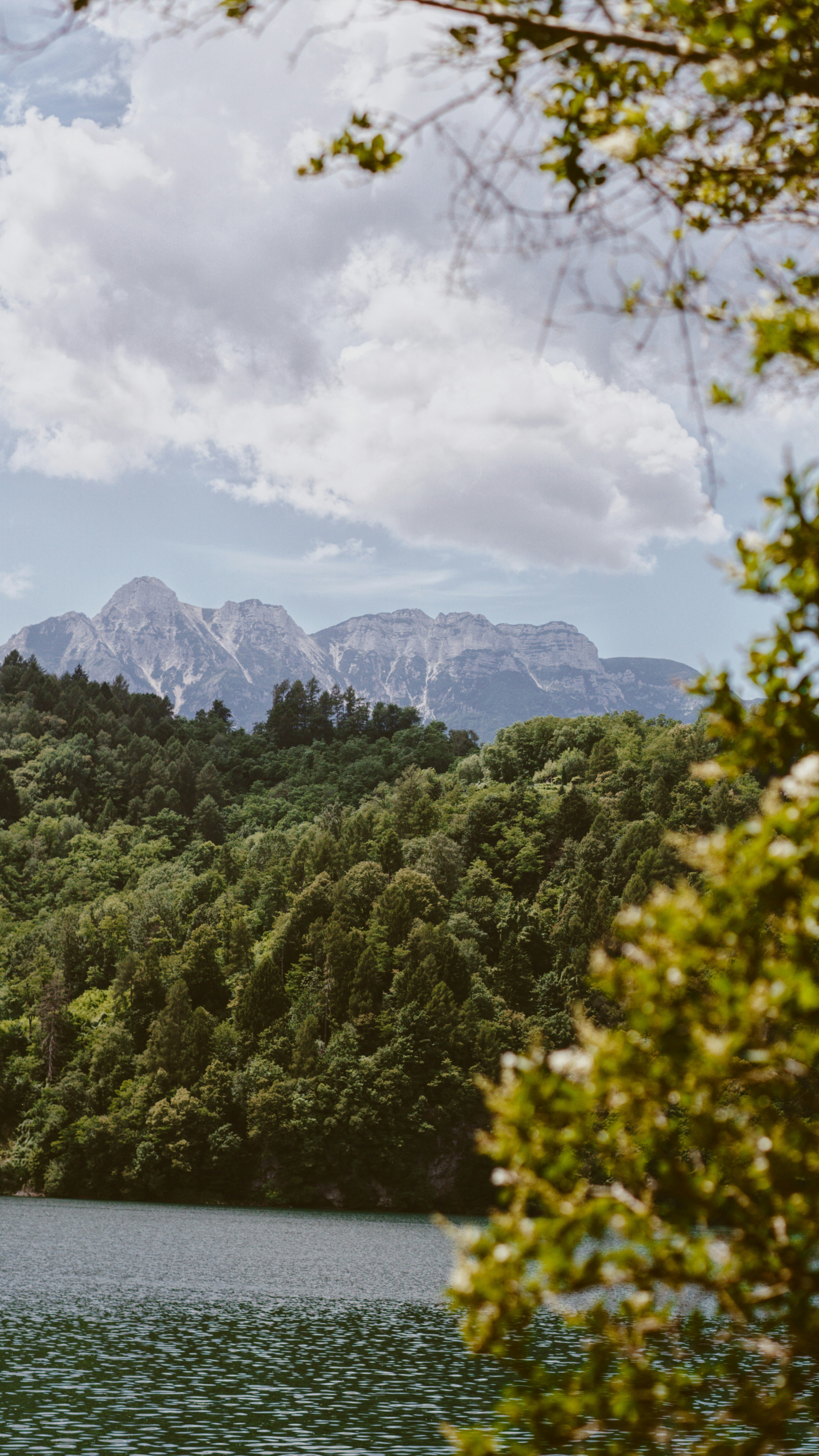 Landscapes