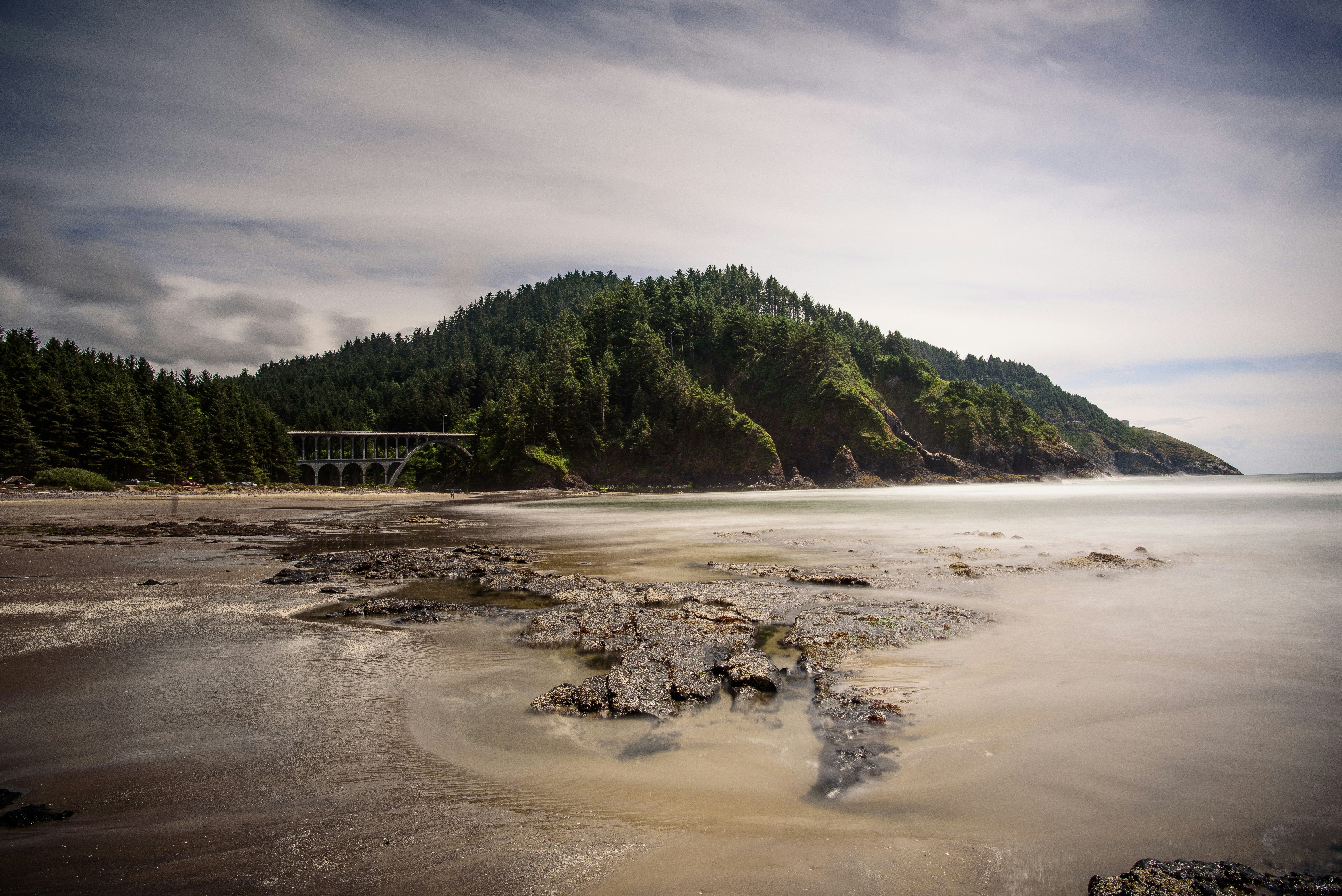 Forested Coastal Headland Beach Landscape