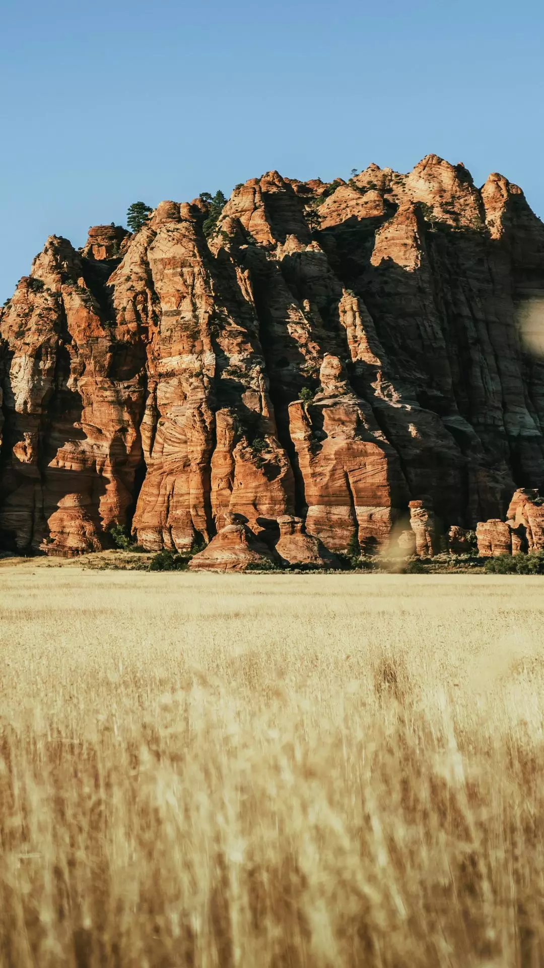 Wallpapers
