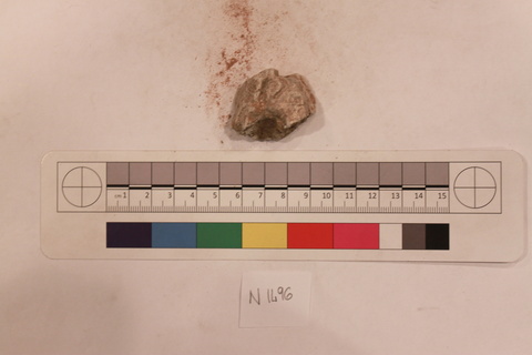 Archaeological Specimen N 1496