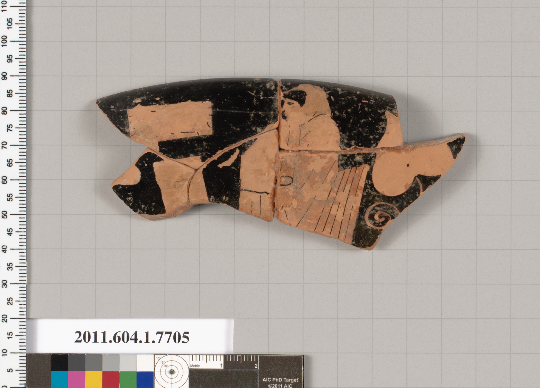 Ancient Greek Pottery Fragment