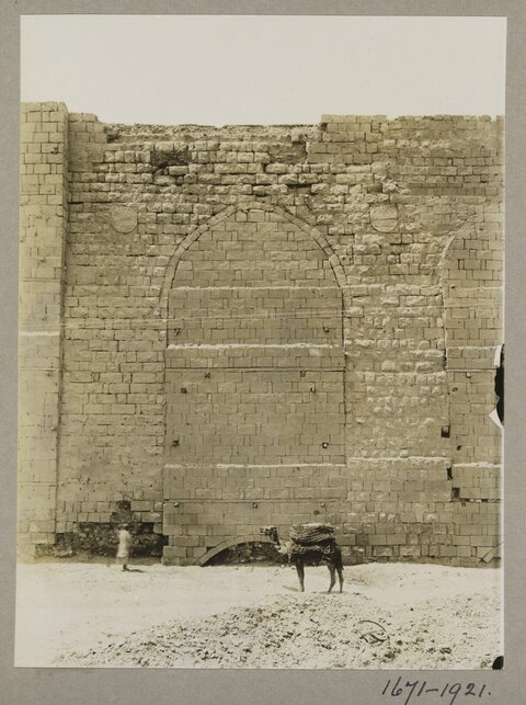 Ancient Ruined Brick Wall with Camel