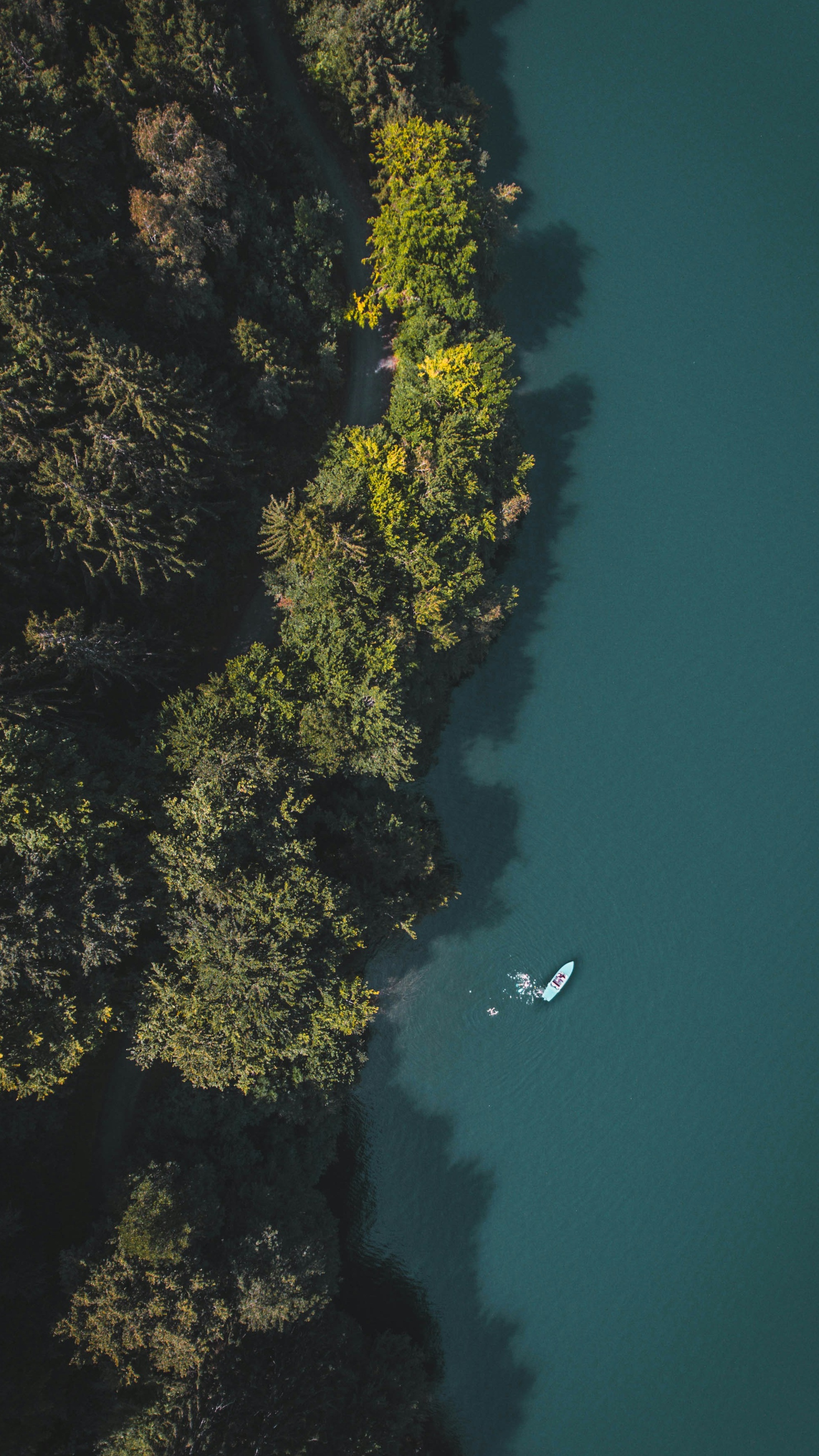 Forest & Flora
