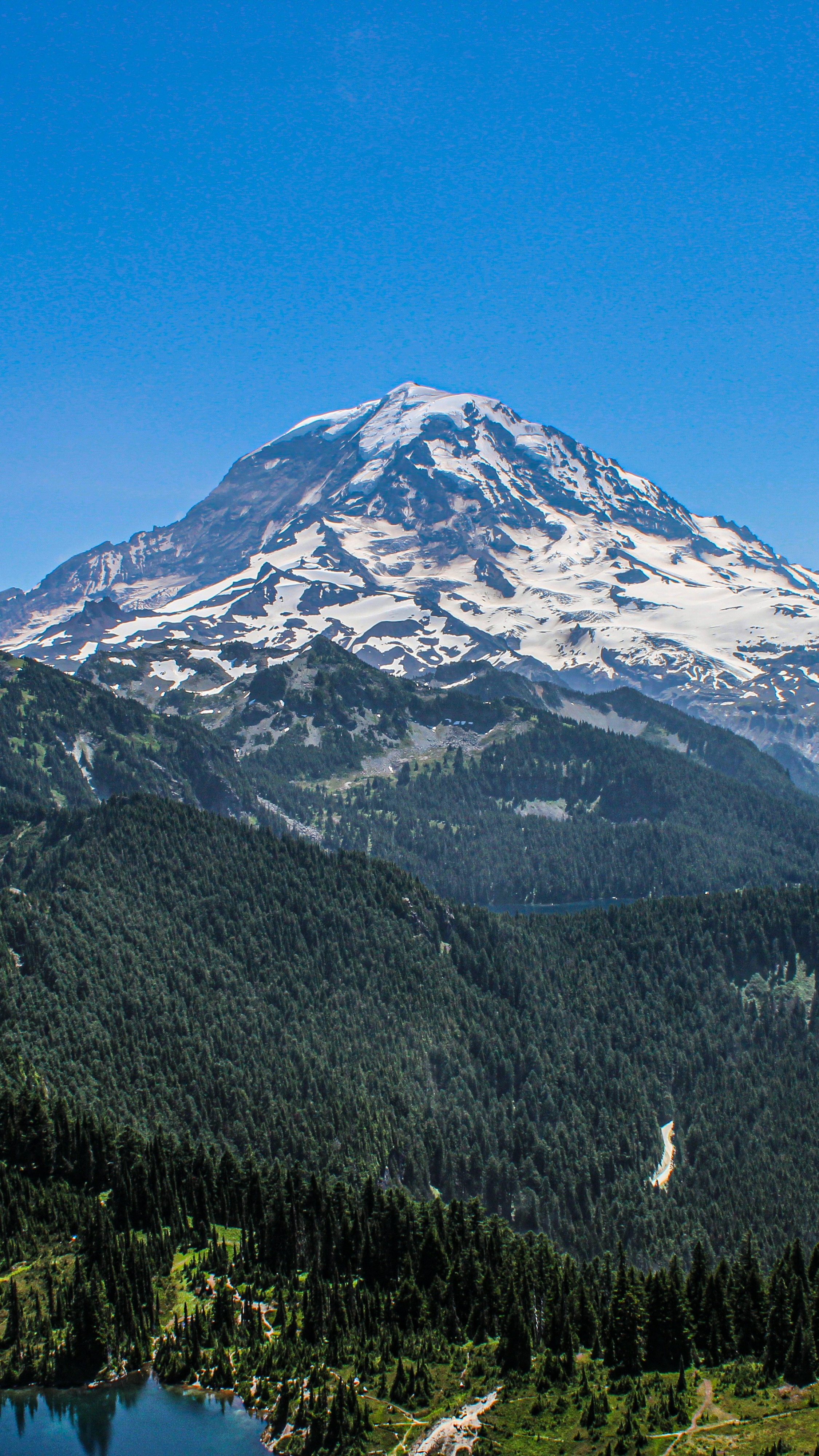 Snow-capped Mount Rainier Landscape