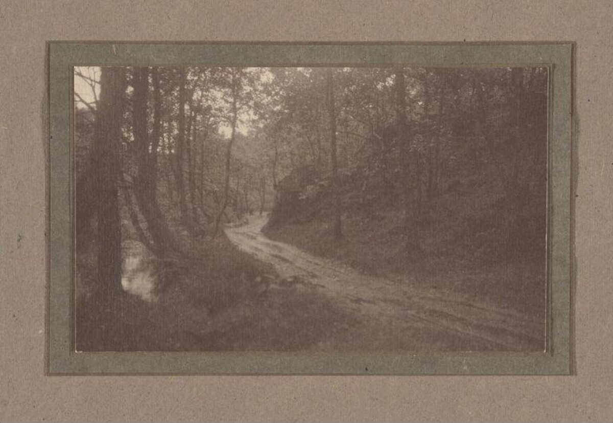 Vintage Photo of Forest Road