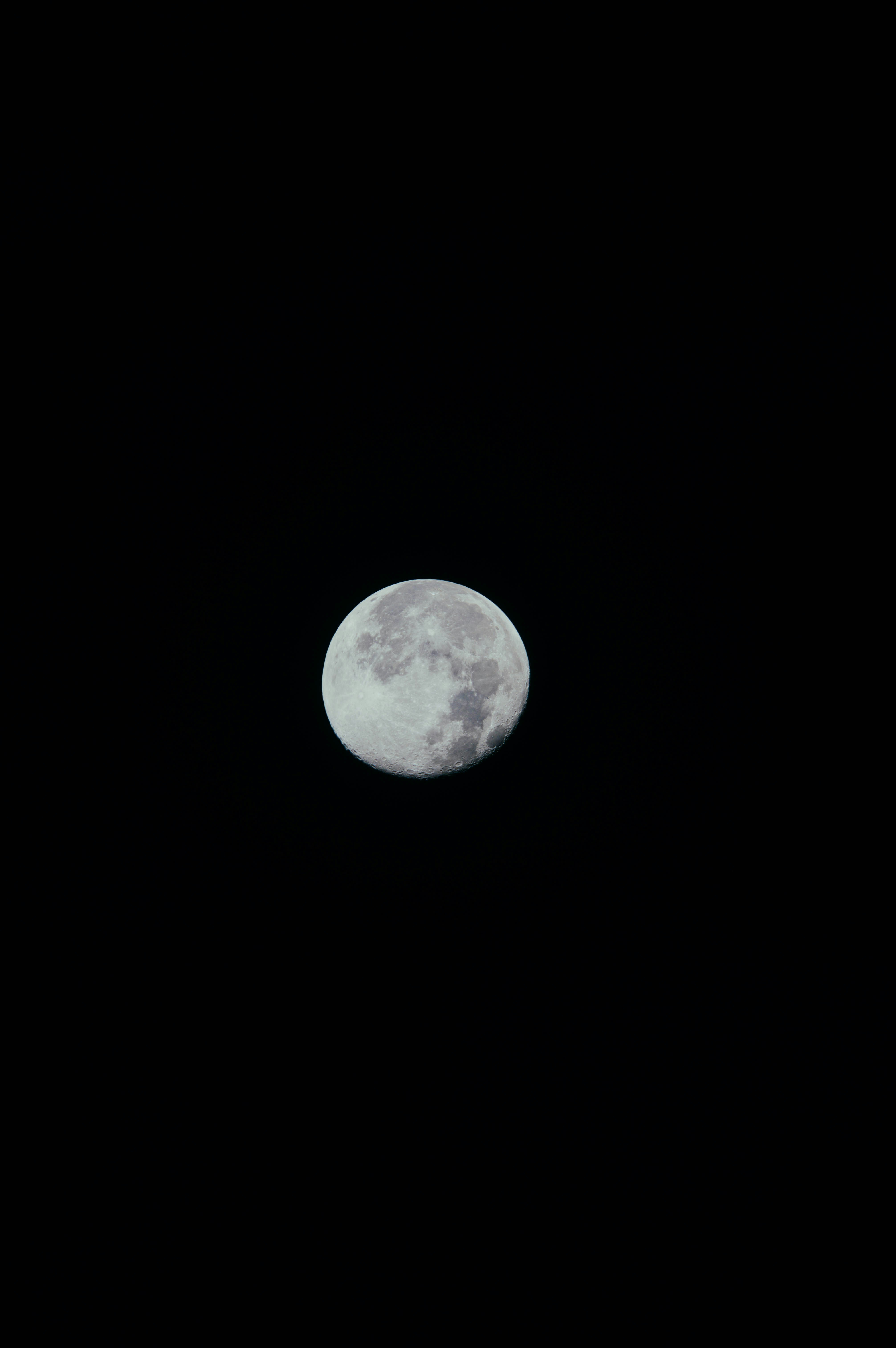 Gibbous Moon in Night Sky