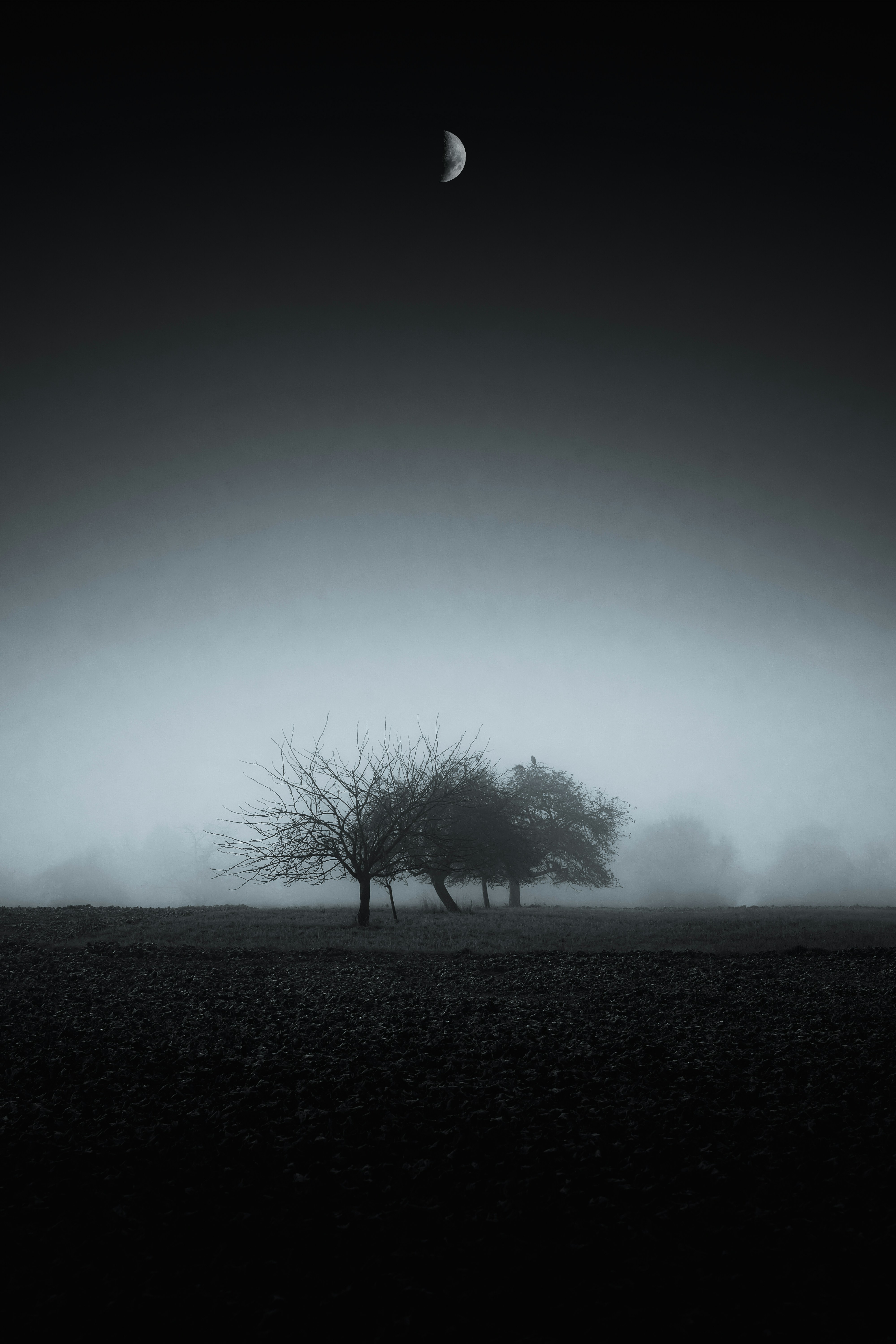 Misty Night Field Under Crescent Moon