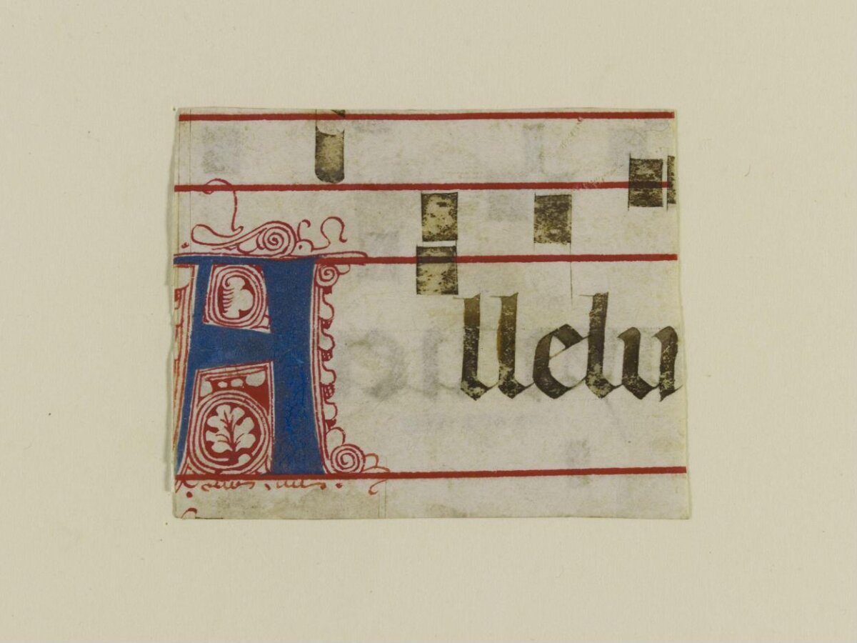 Medieval Illuminated Manuscript Fragment