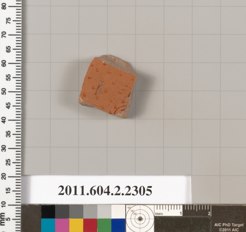 Ancient Pottery Fragment Specimen