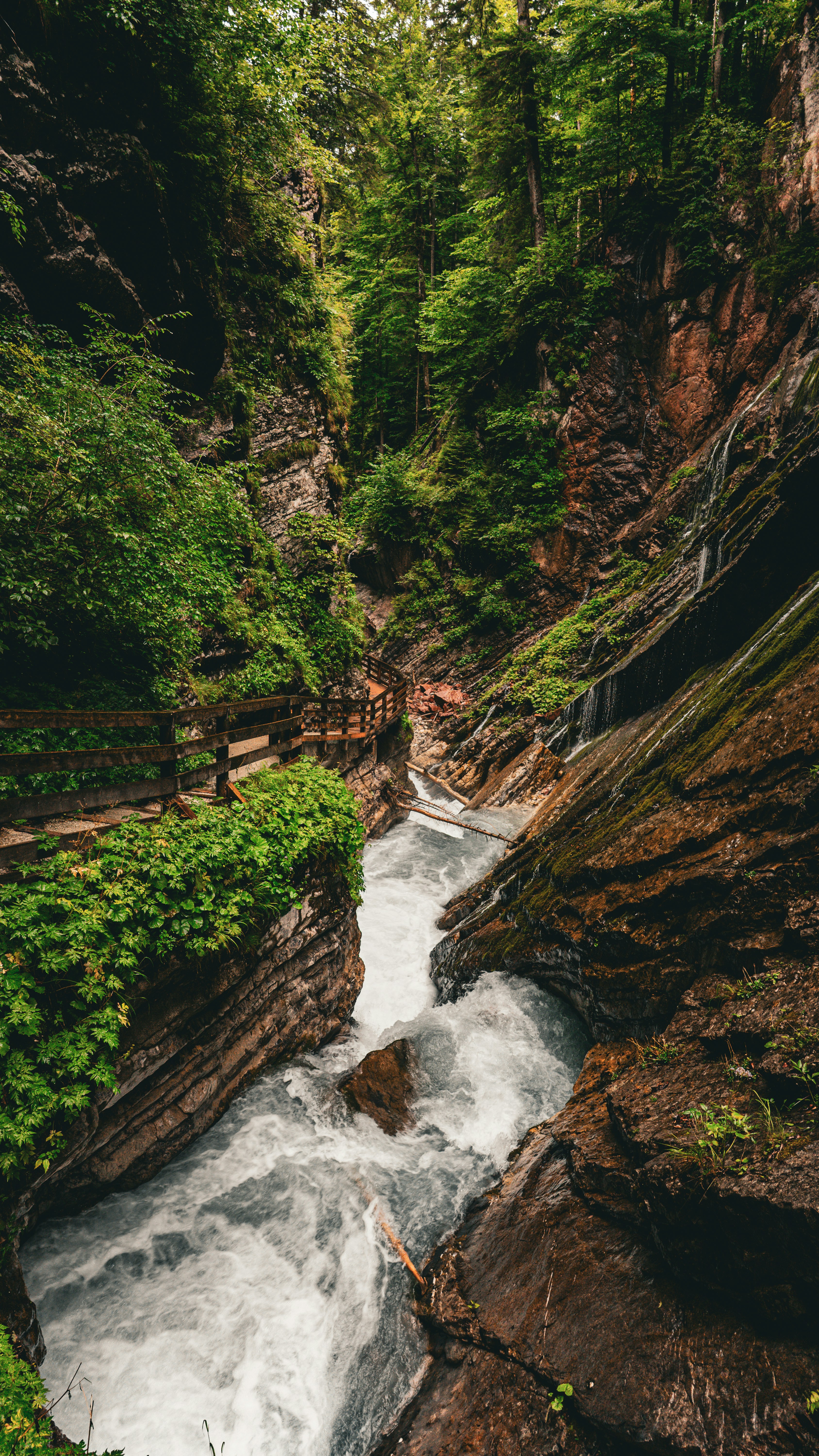 Wallpapers