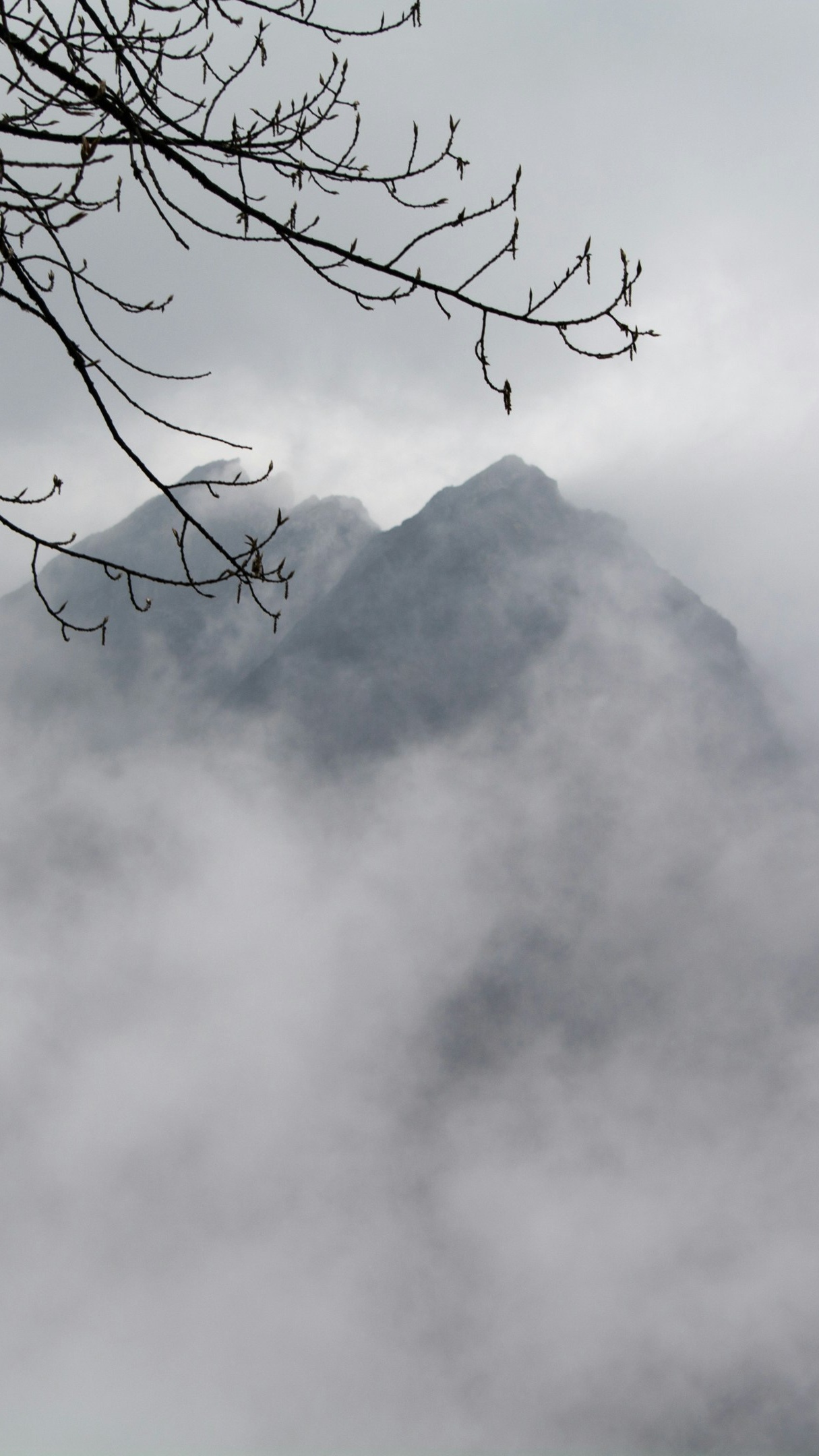 Landscapes