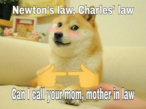 Cheesy Pickup Line Doge Meme