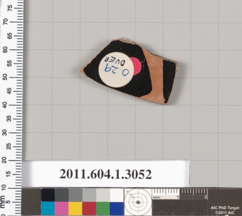 Archaeological Pottery Shard Sample