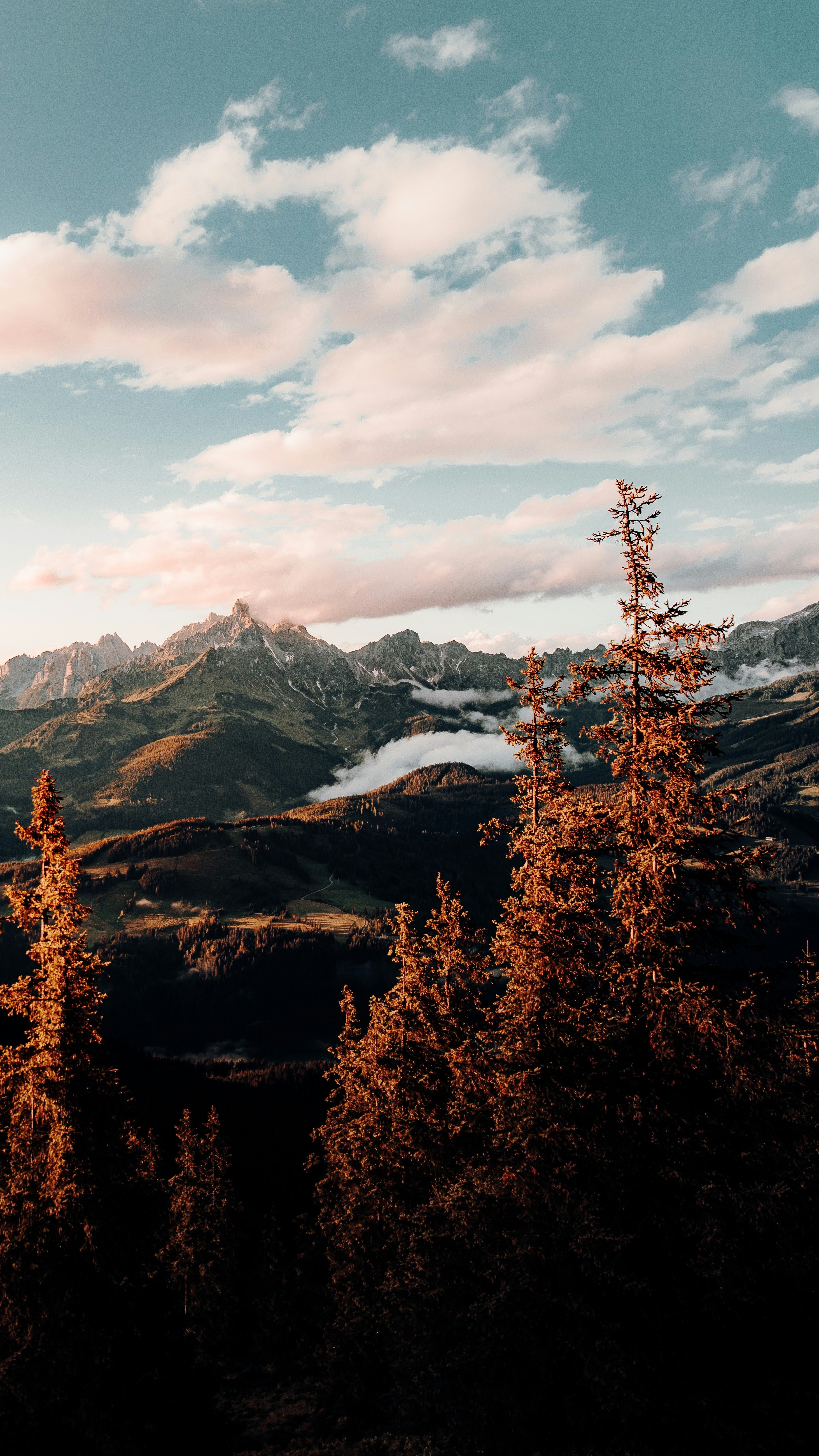 Wallpapers