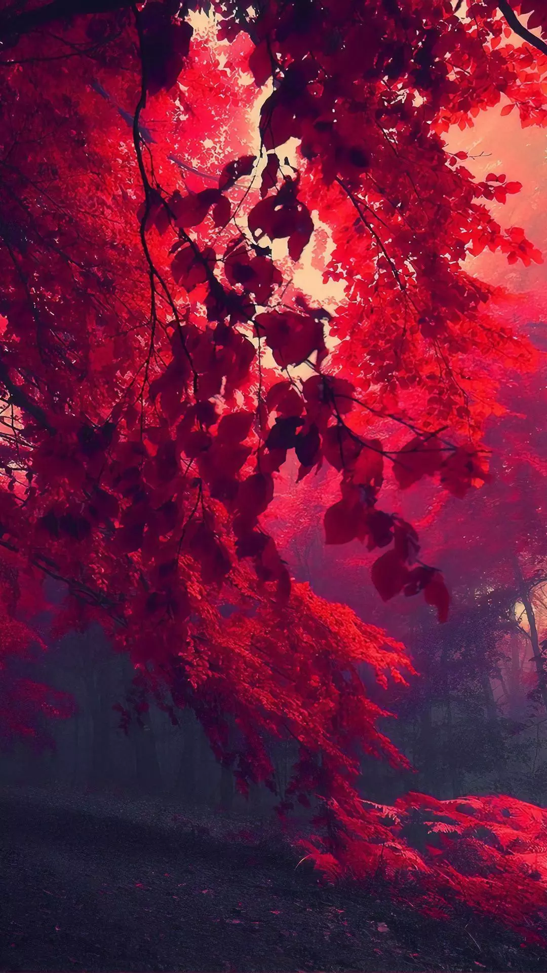 Wallpapers