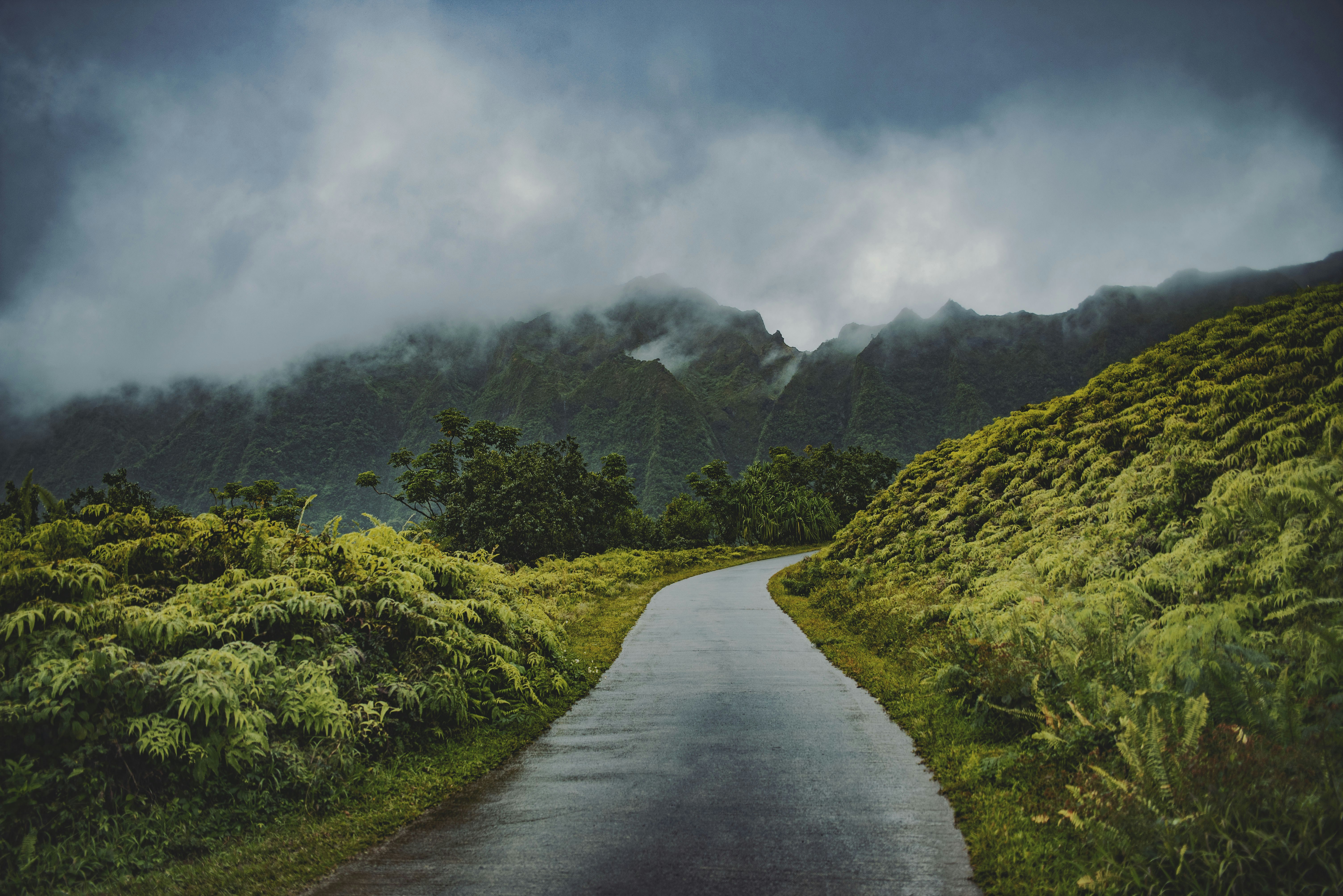 Misty Mountain Winding Path