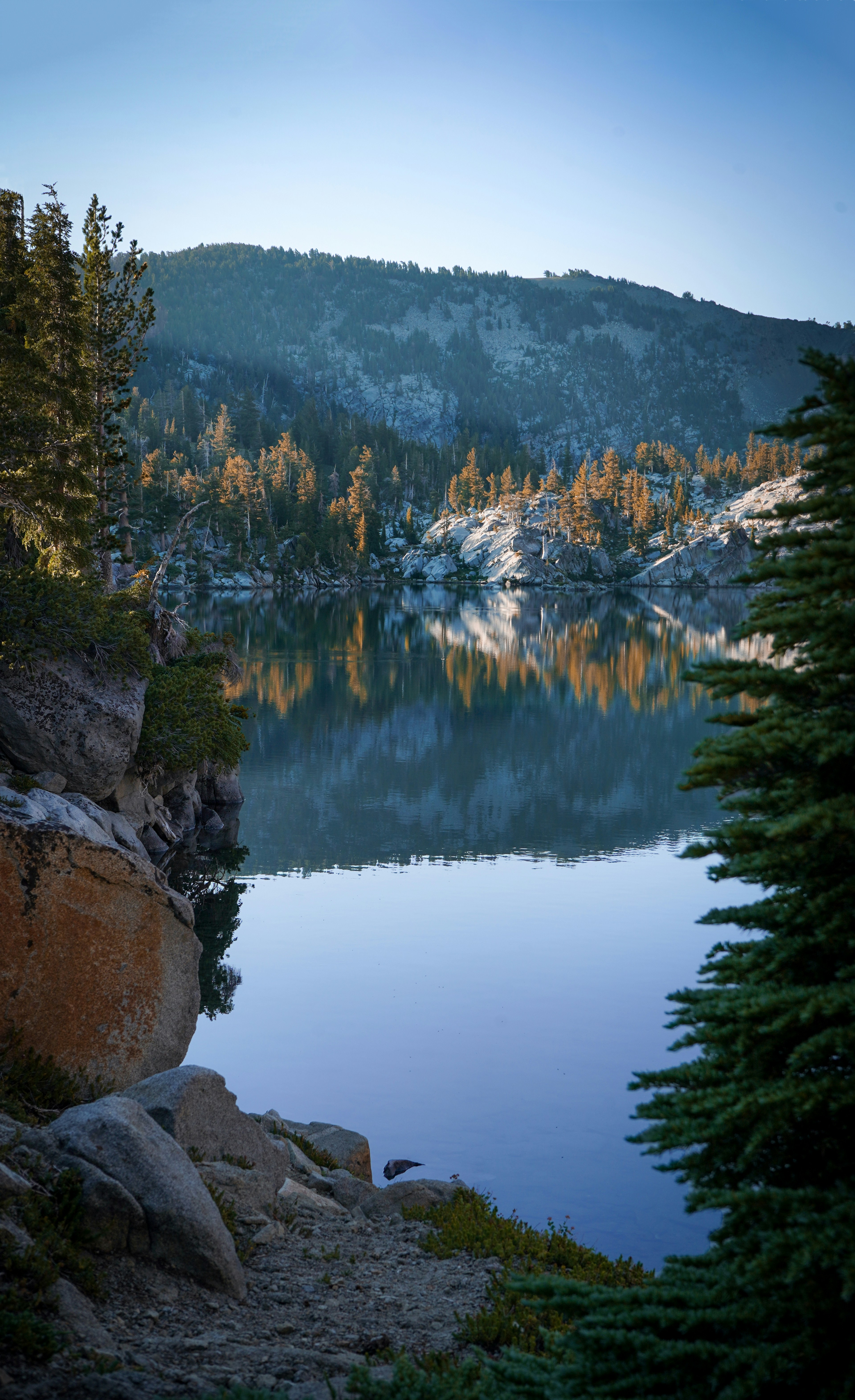 Landscapes