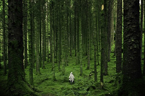 Lone Wanderer in Mossy Forest