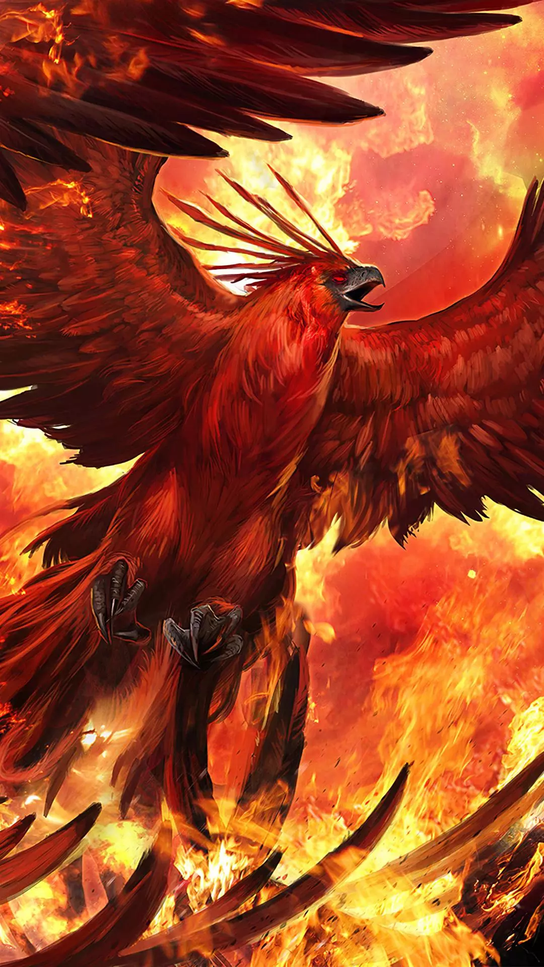 Wallpapers