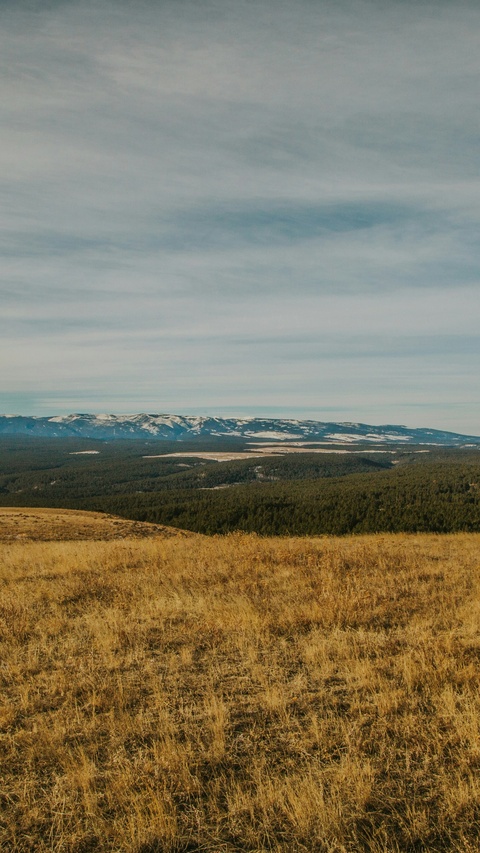 Grassy Hilltop View of Snowy Mountains