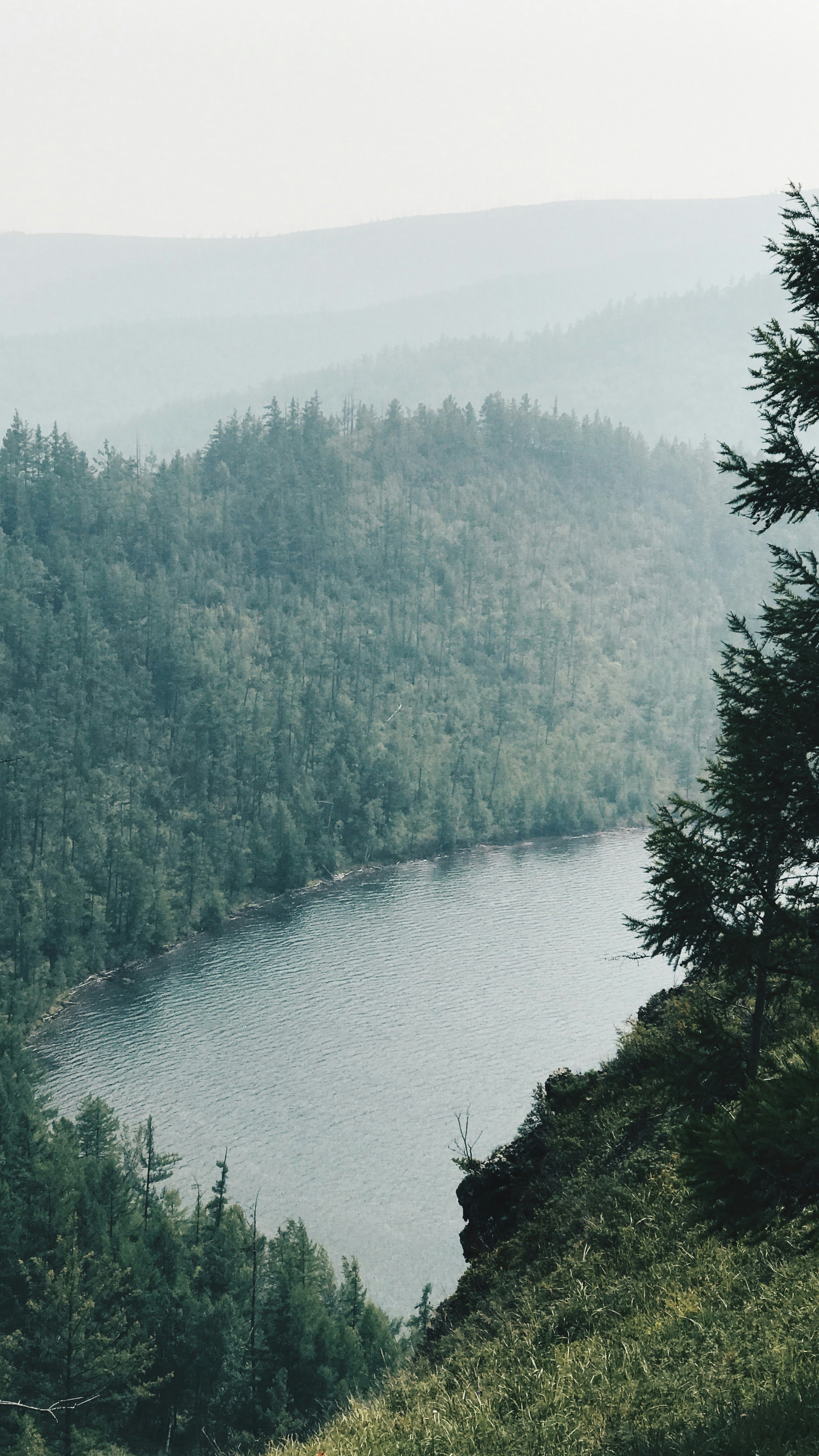 Wallpapers