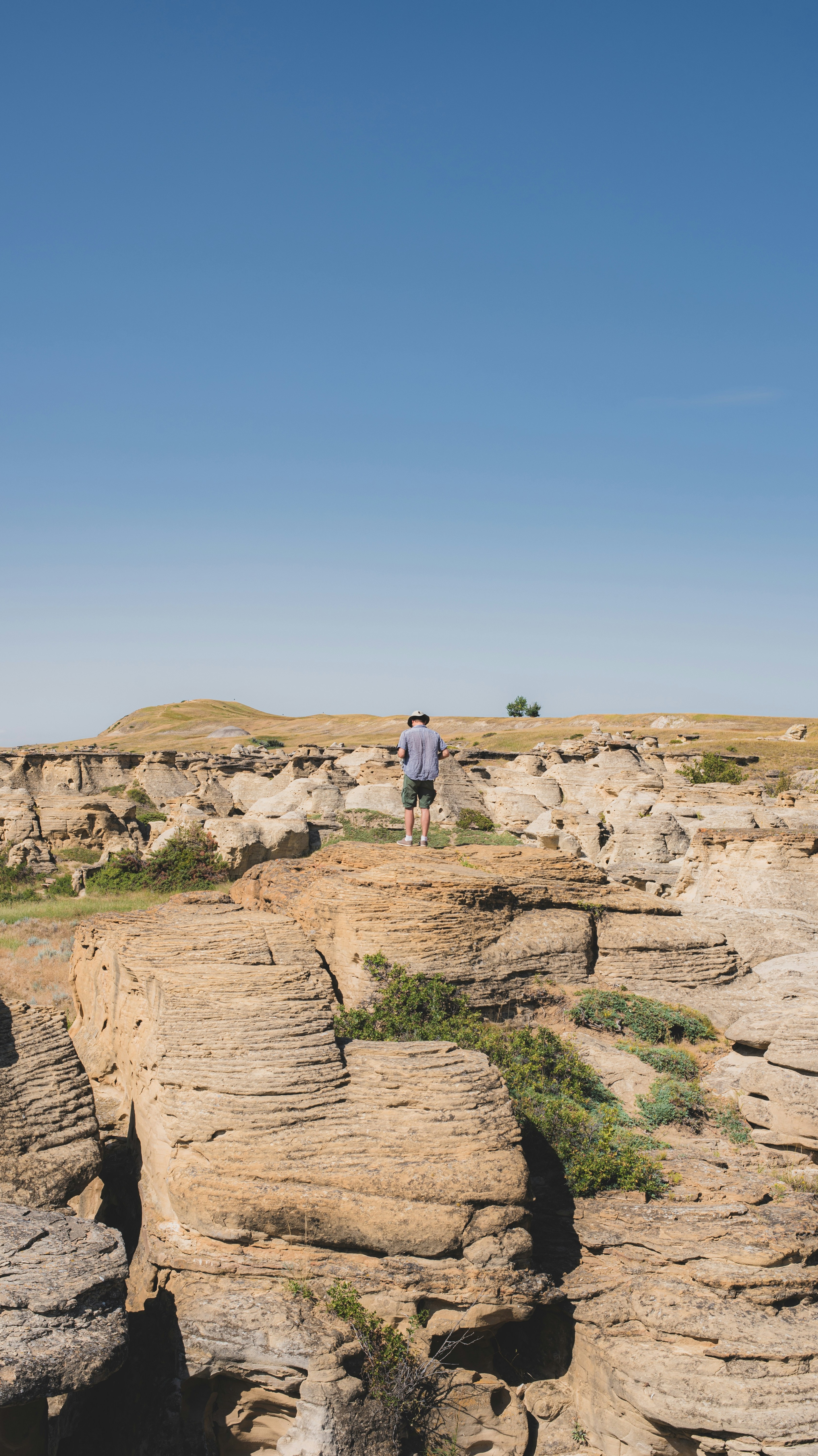 Hiker Overlooking Badlands Landscape