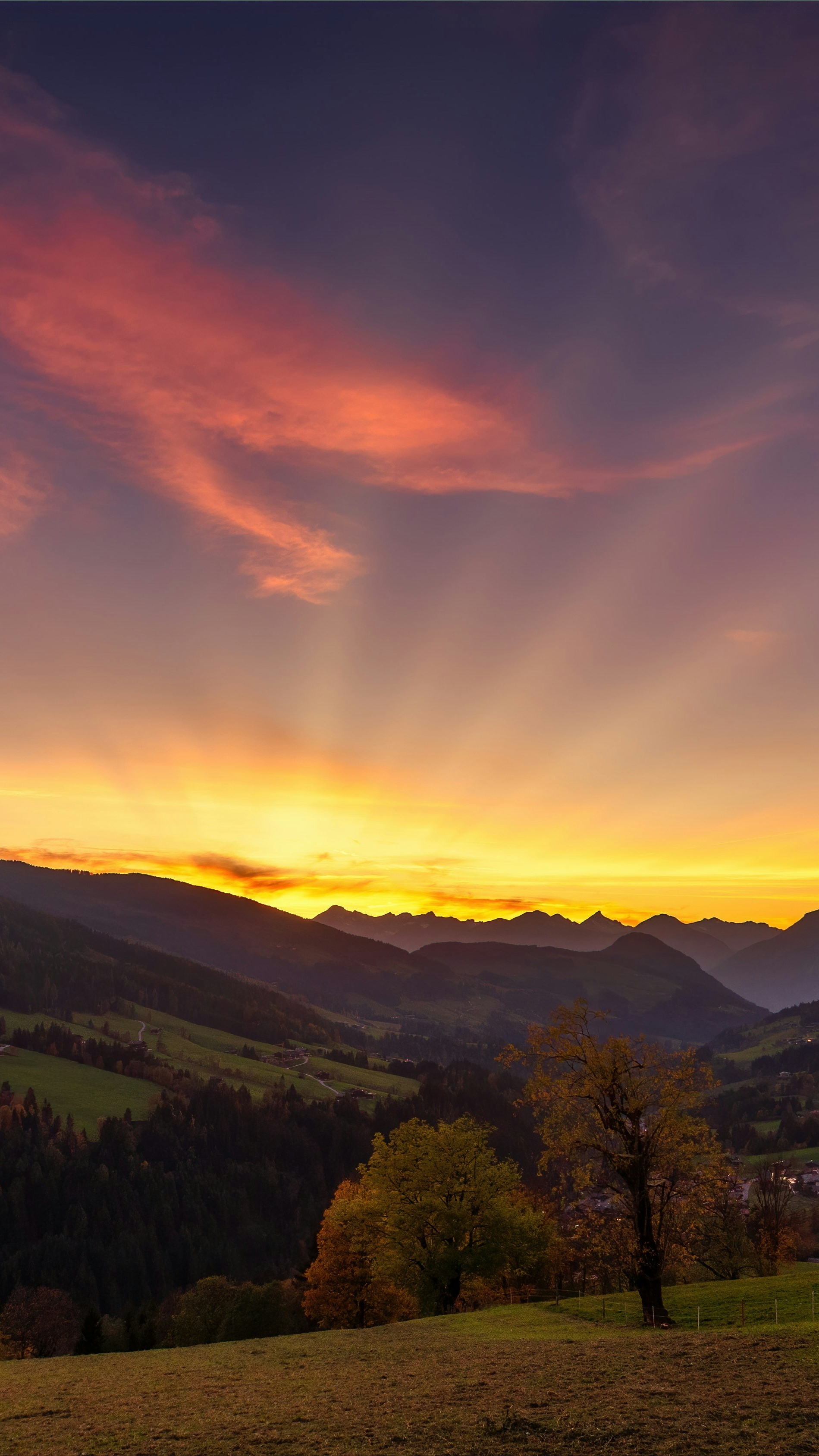 Landscapes