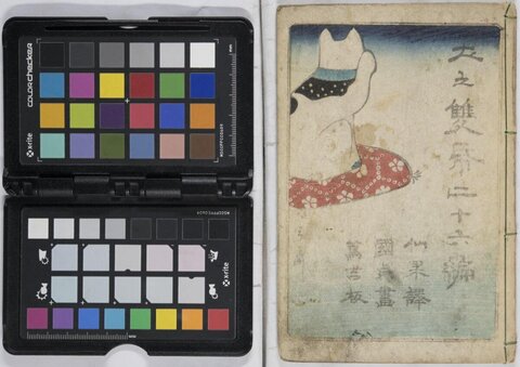 Antique Japanese Book Cover with Color Checker