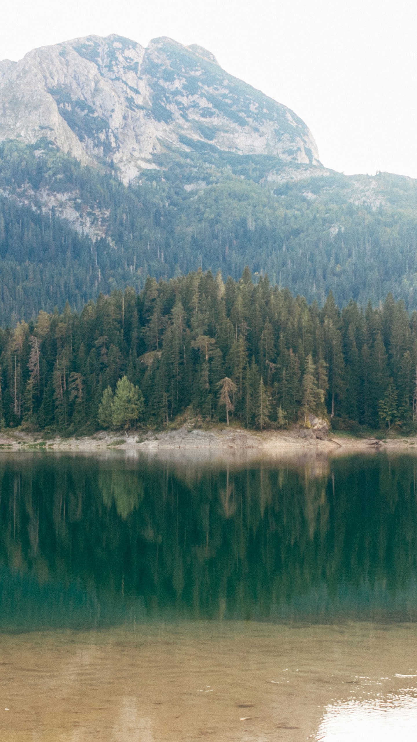 Mountain Lake Forest Reflection