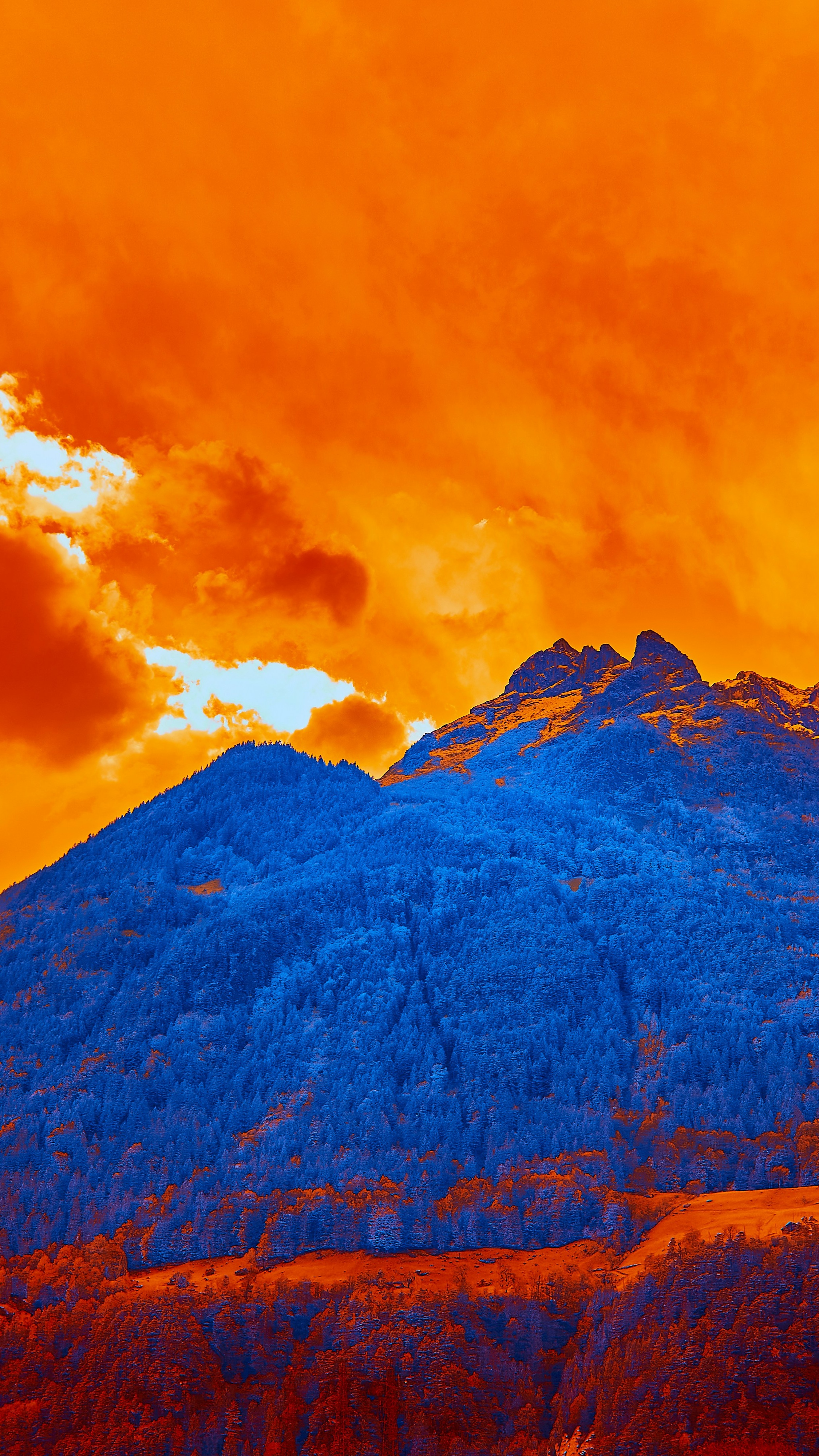 Wallpapers