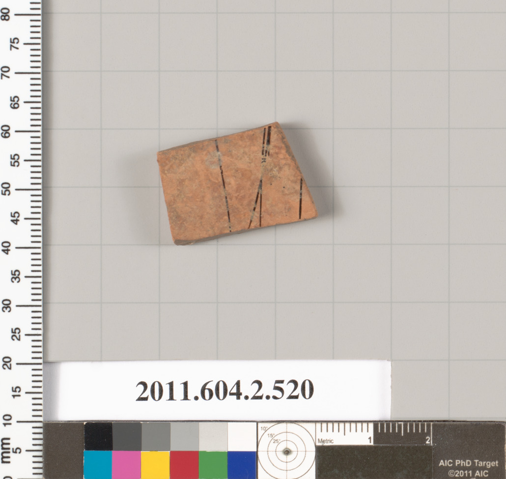 Archaeological Pottery Fragment Specimen
