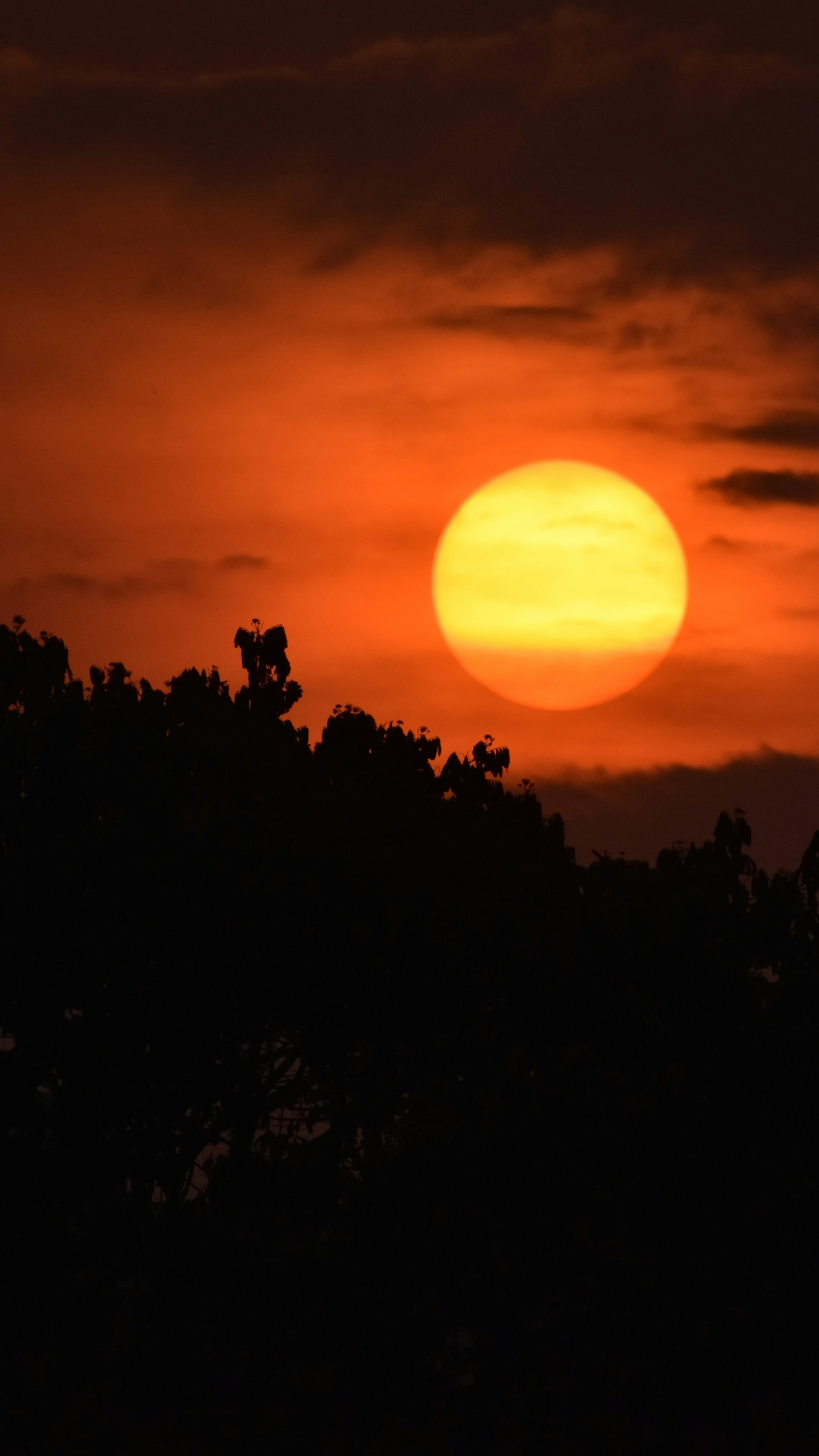 Sunset Over Silhouetted Trees