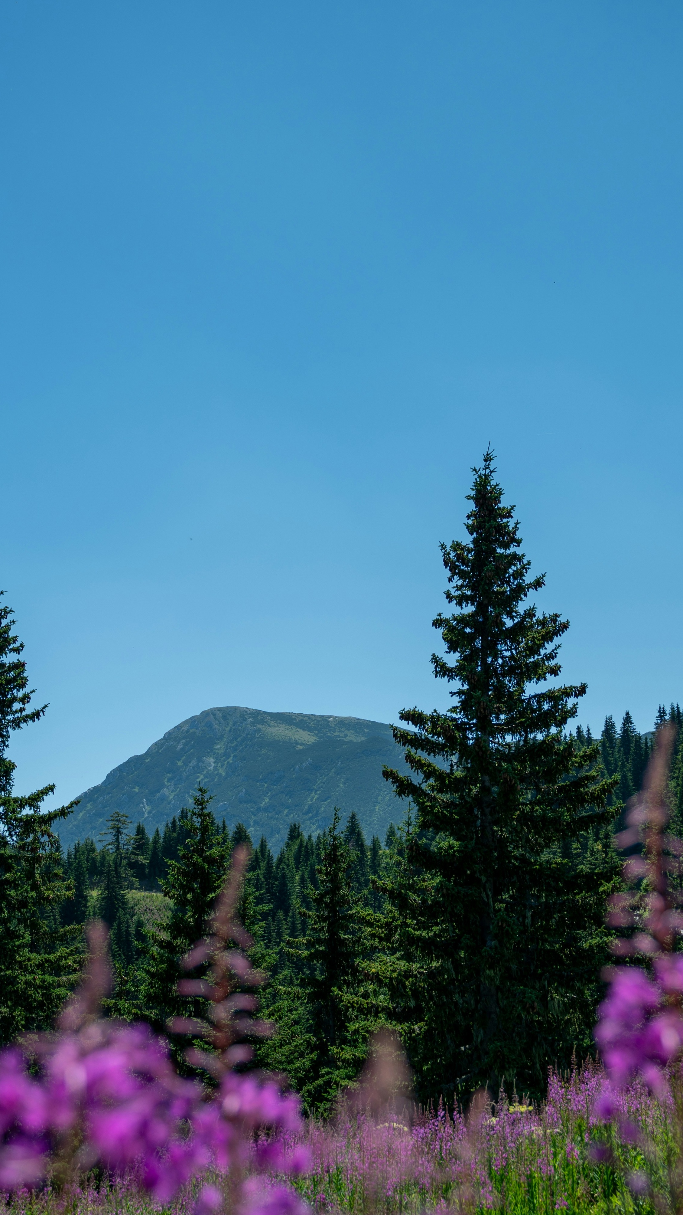 Landscapes