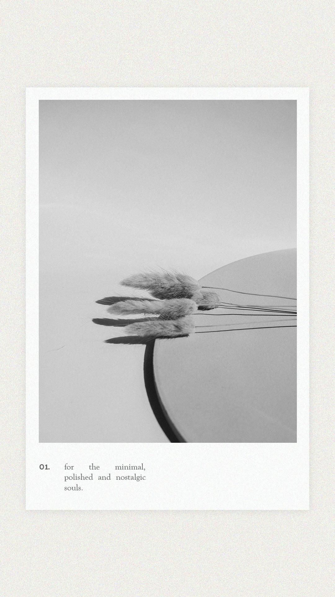 Minimalist Monochrome Dried Grass Still Life