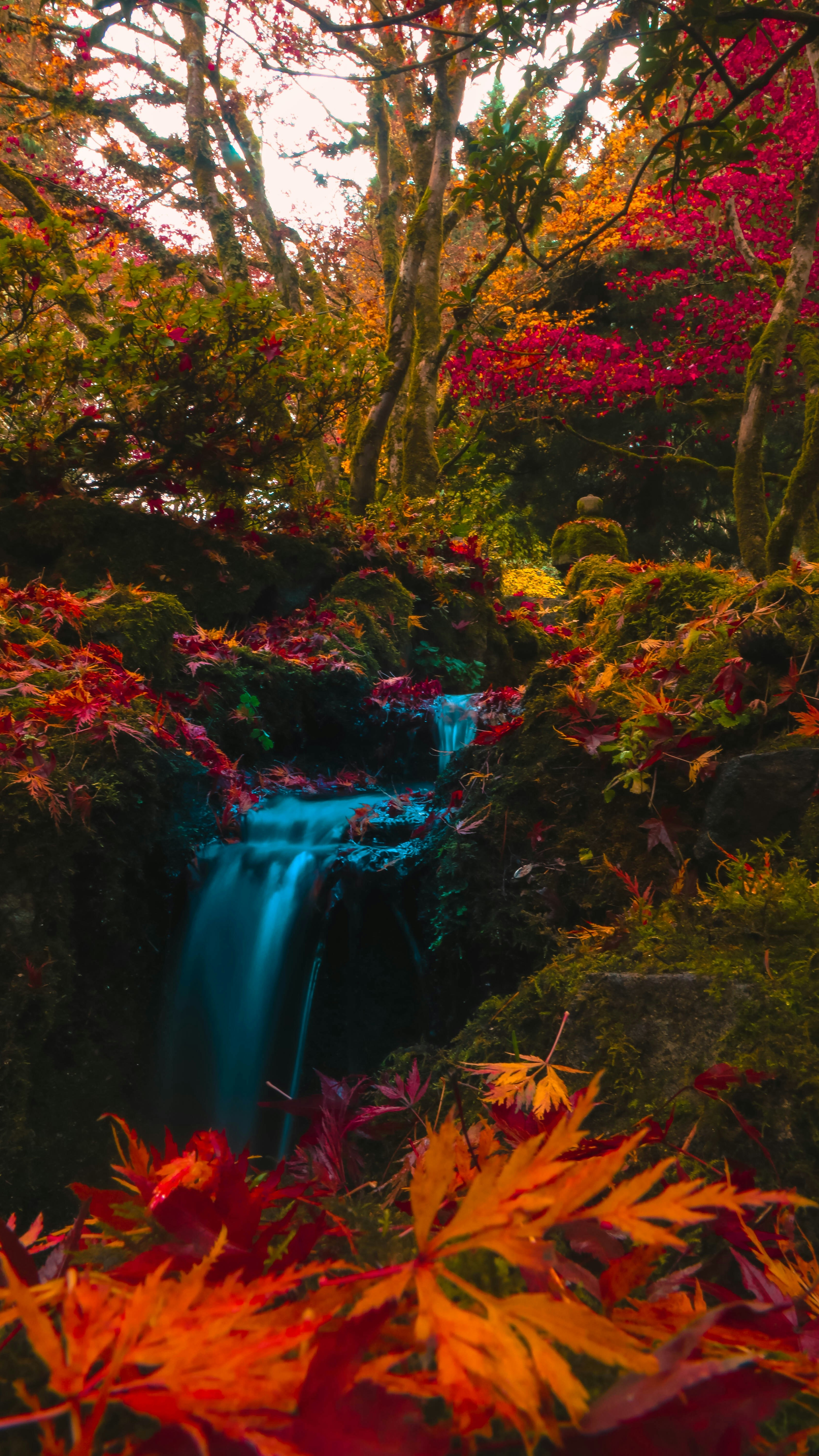 Wallpapers