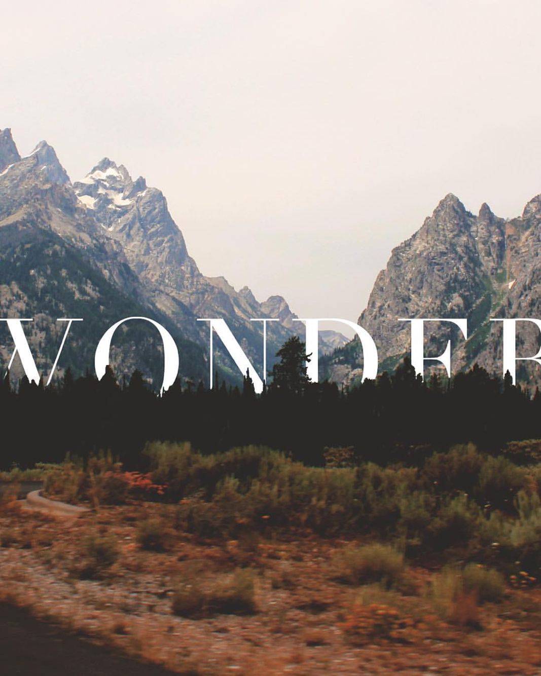 Wallpapers