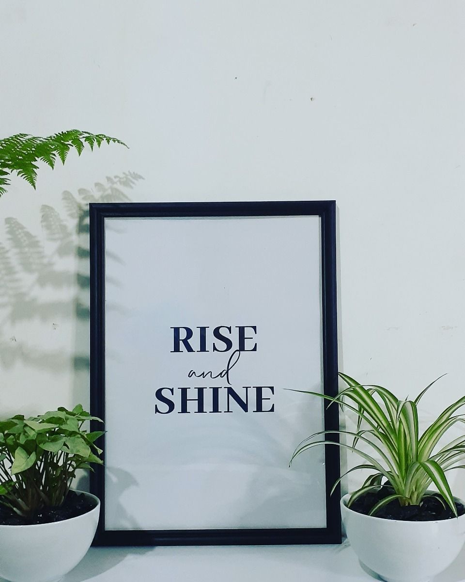 Rise and Shine Framed Art with Potted Plants
