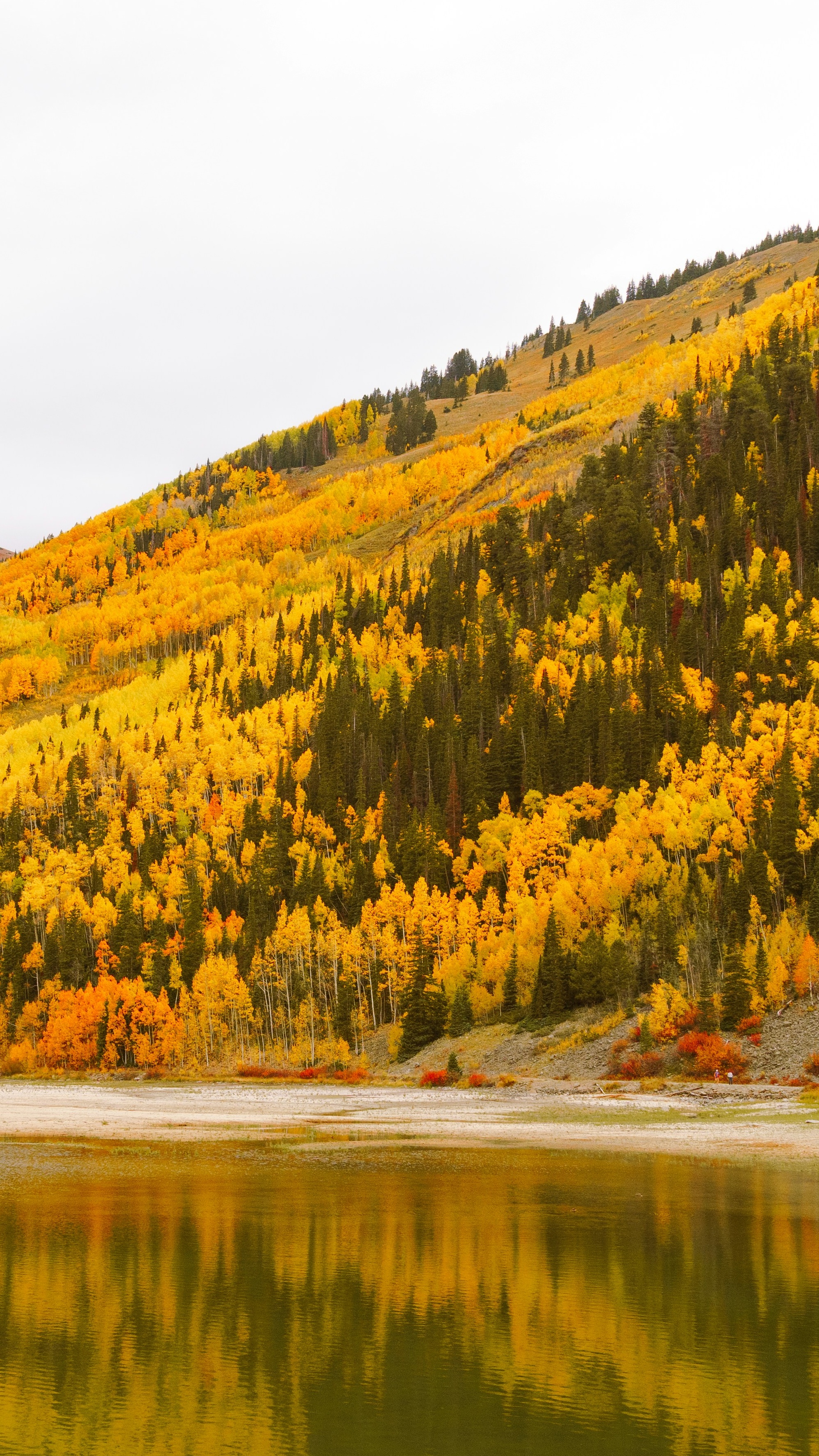 Autumn Mountain Lake Reflection
