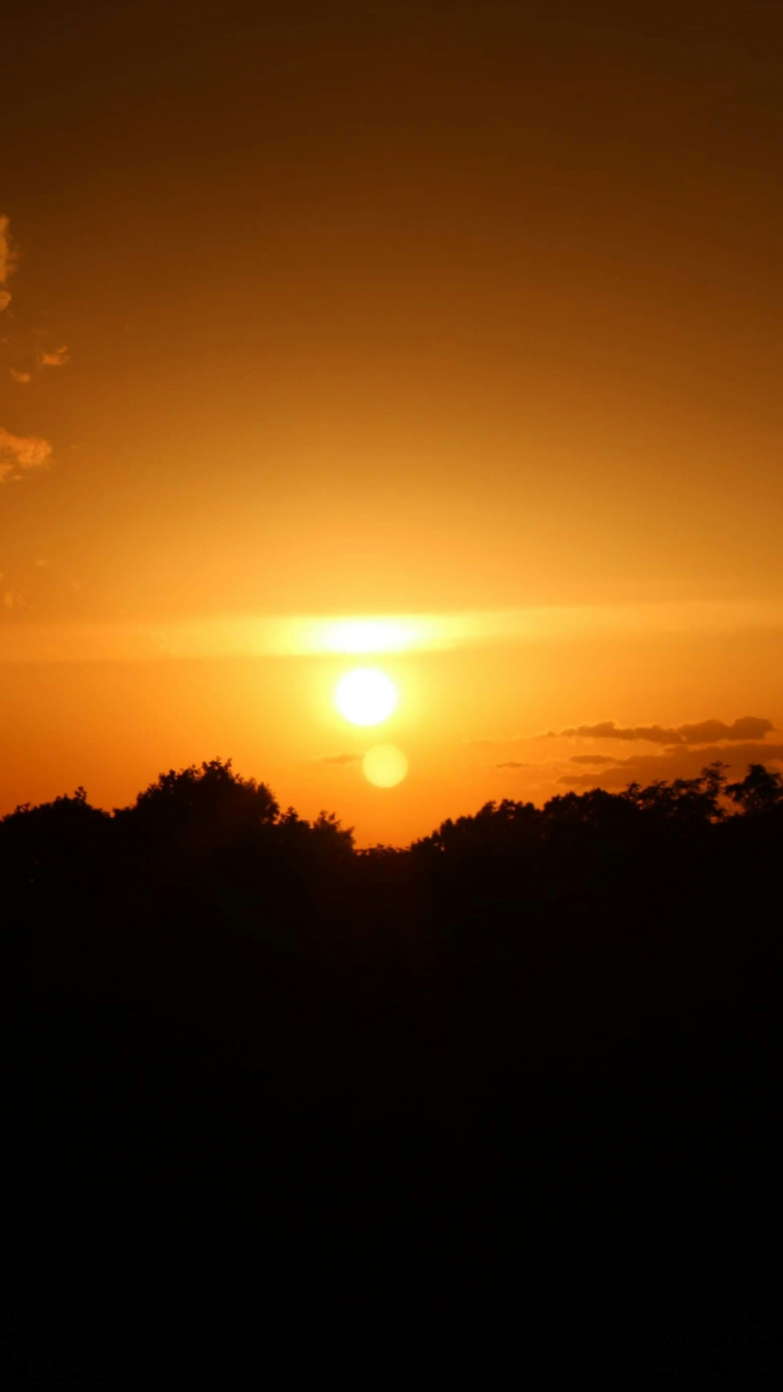 Sunset Over Silhouetted Trees