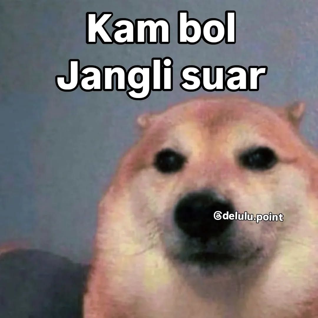 Kam bol Jangli suar Meme