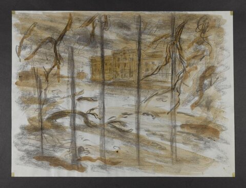 Landscape Sketch Through Bare Trees