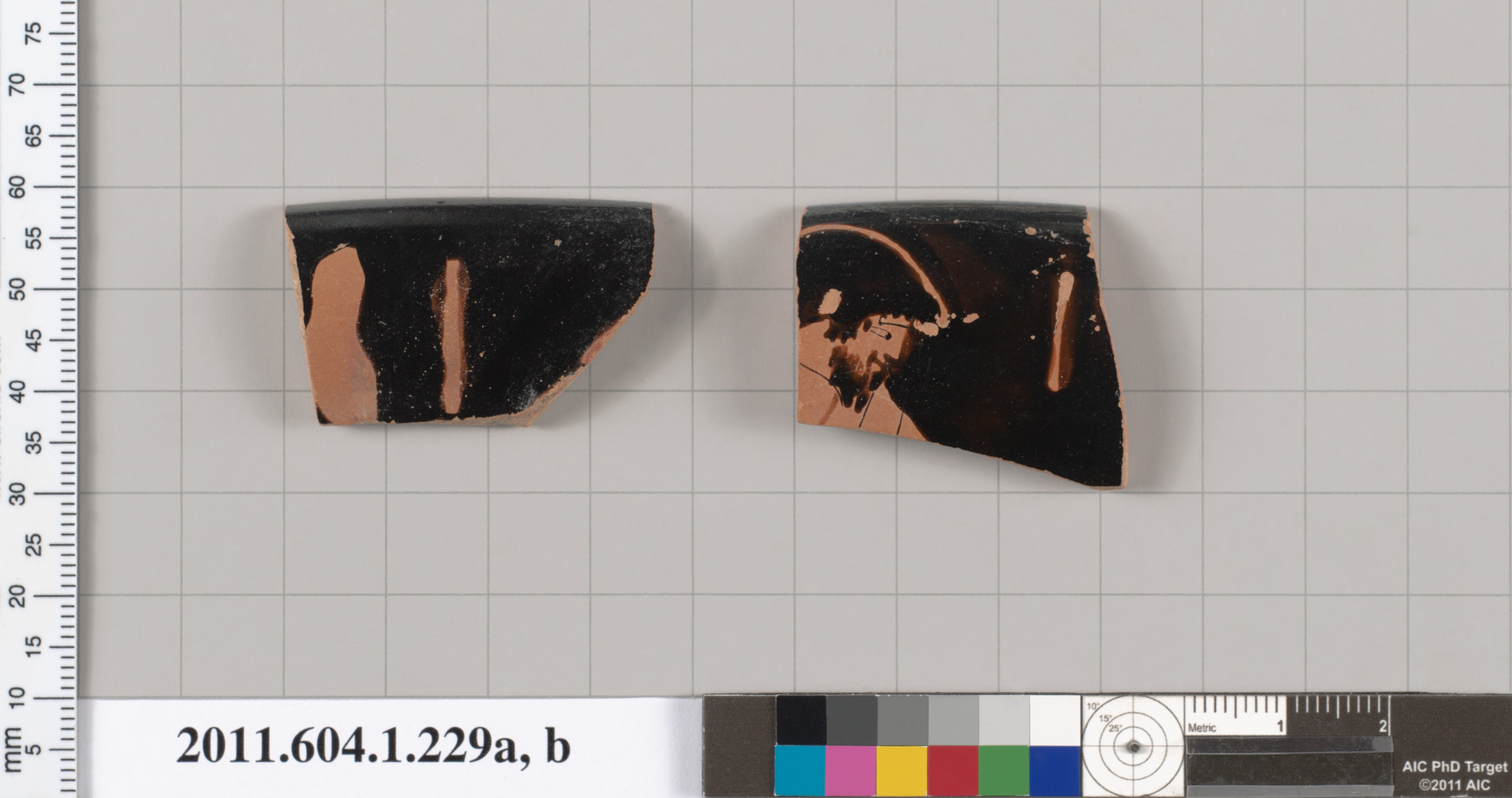 Two Ancient Pottery Fragments