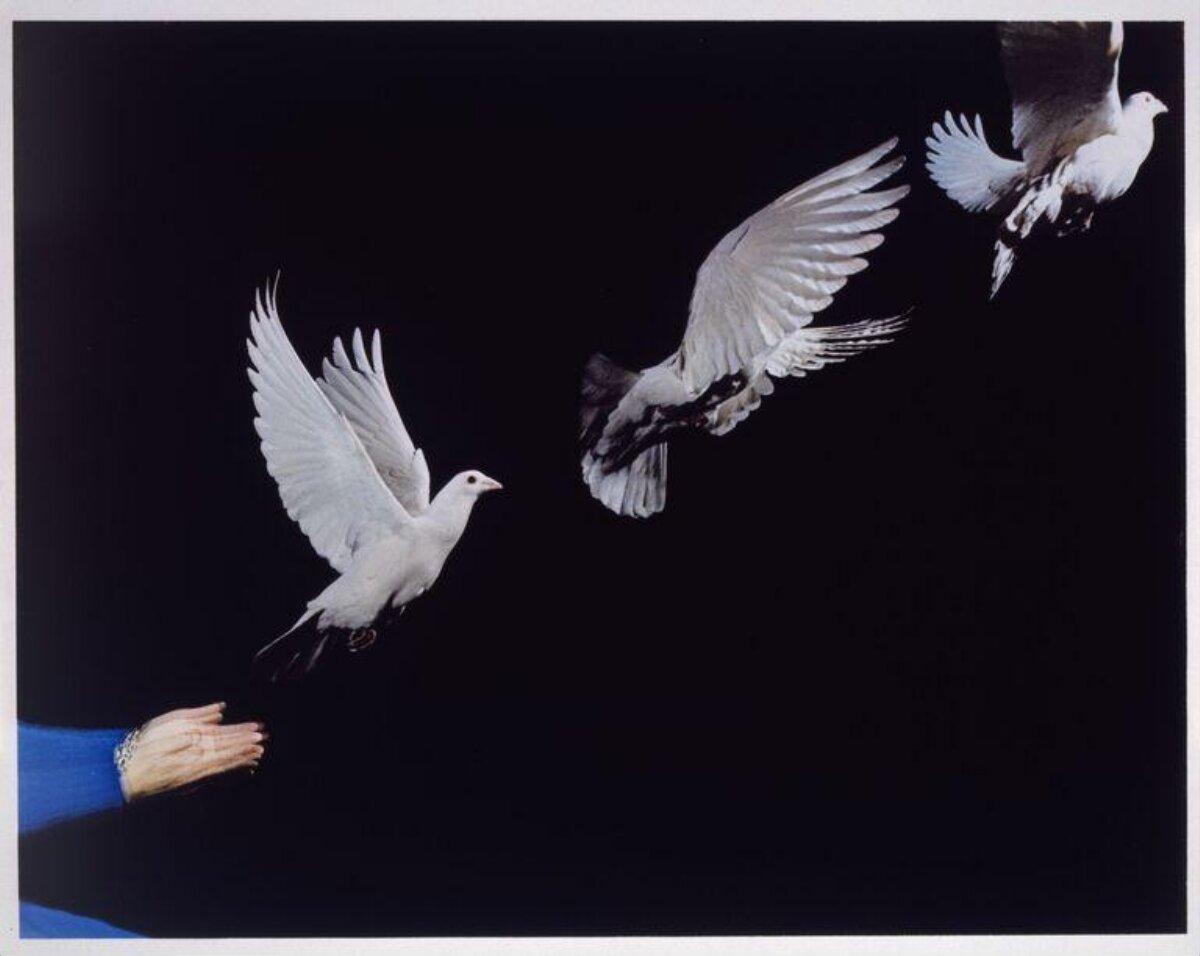 Hand Releasing Three White Doves