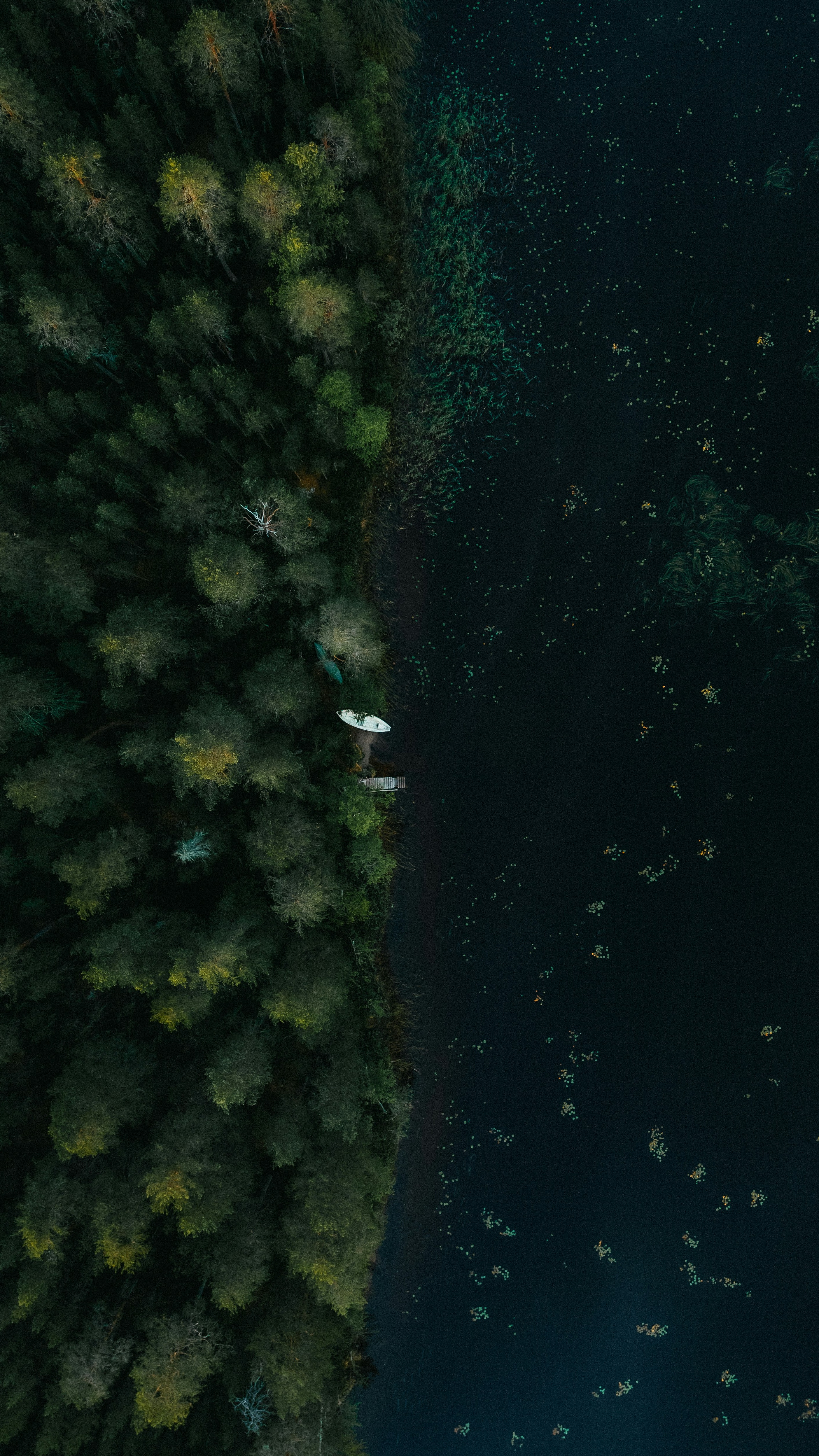 Wallpapers