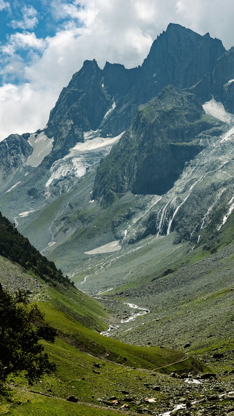 Image 1546191 — Nature